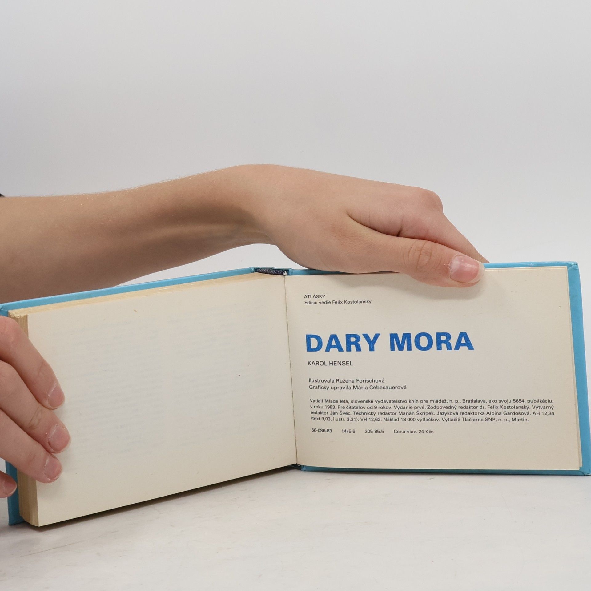 Karol Hensel Dary mora