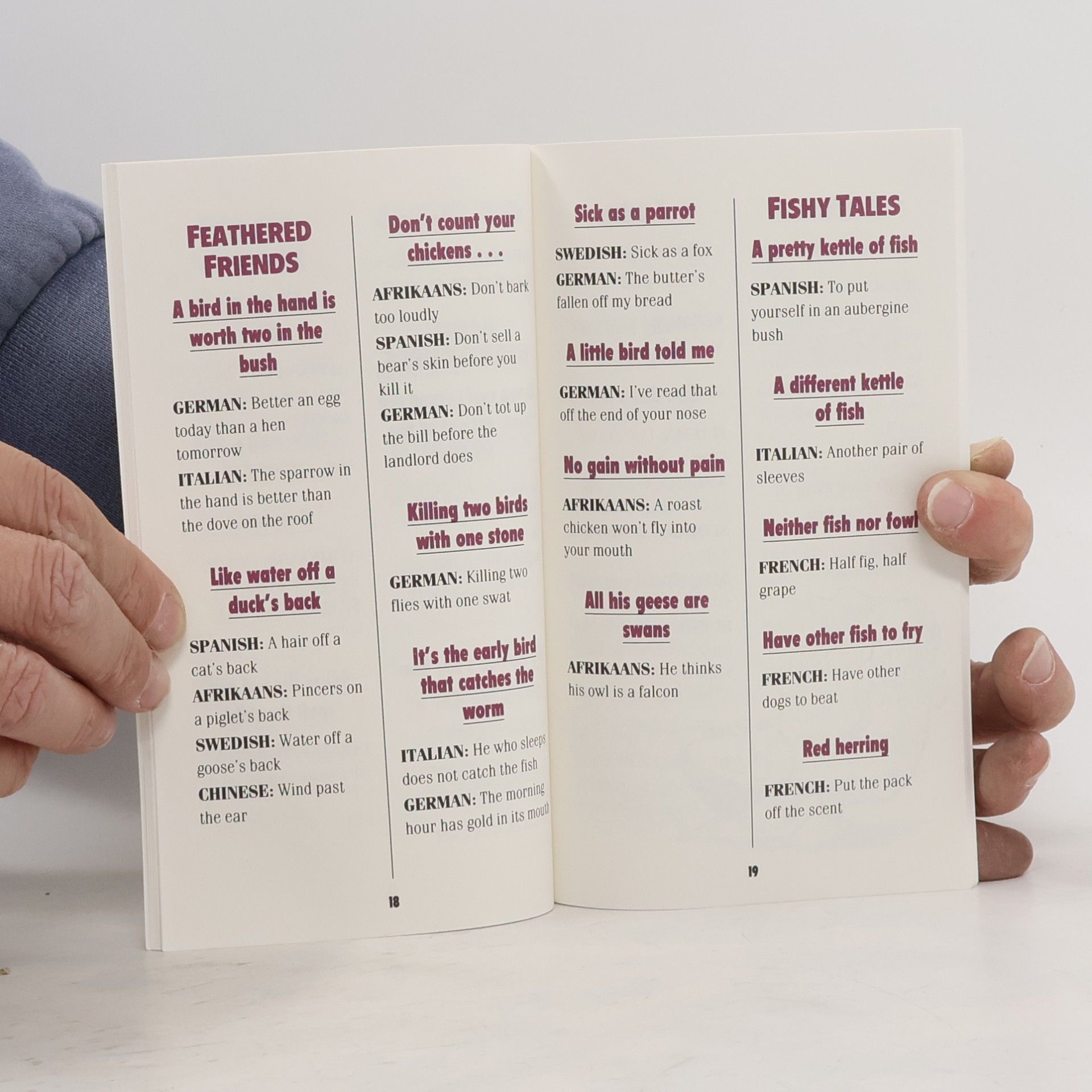 Holte Idioms From Around the World
