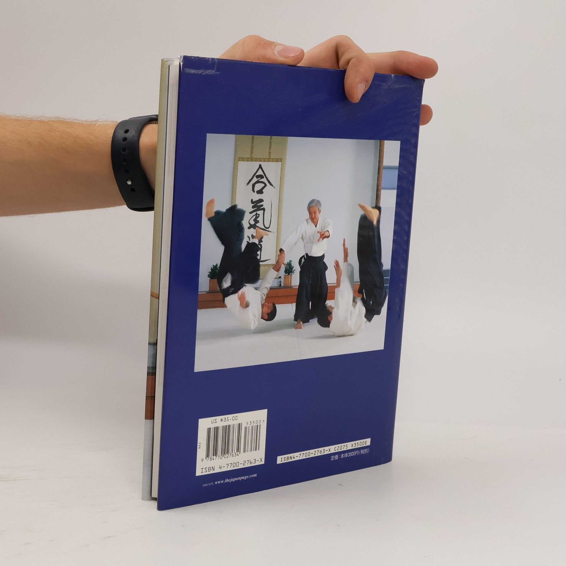 Moriteru Ueshiba Best Aikido - 2: The Aikido Master Course