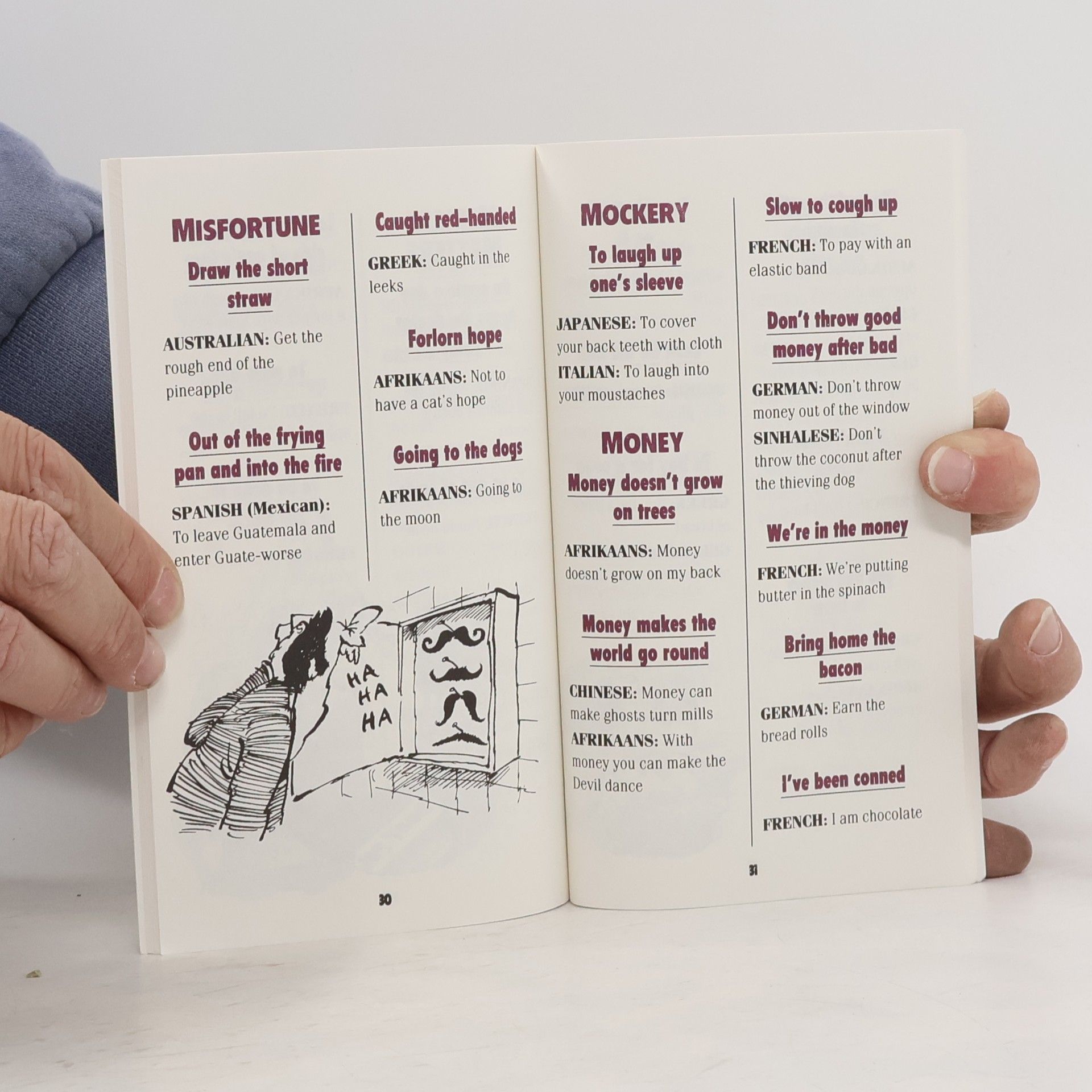 Holte Idioms From Around the World