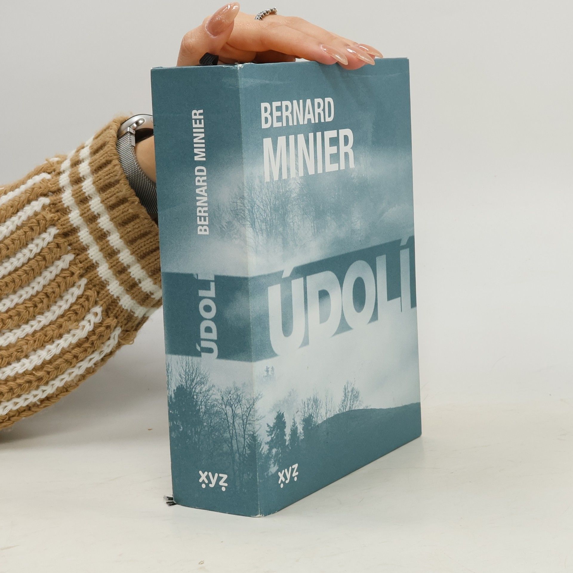 Údolí