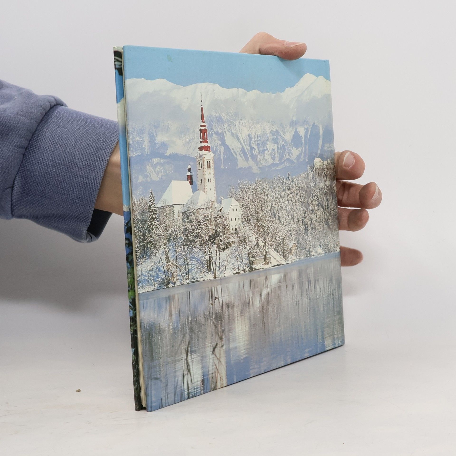 Jože Anderlič Bled