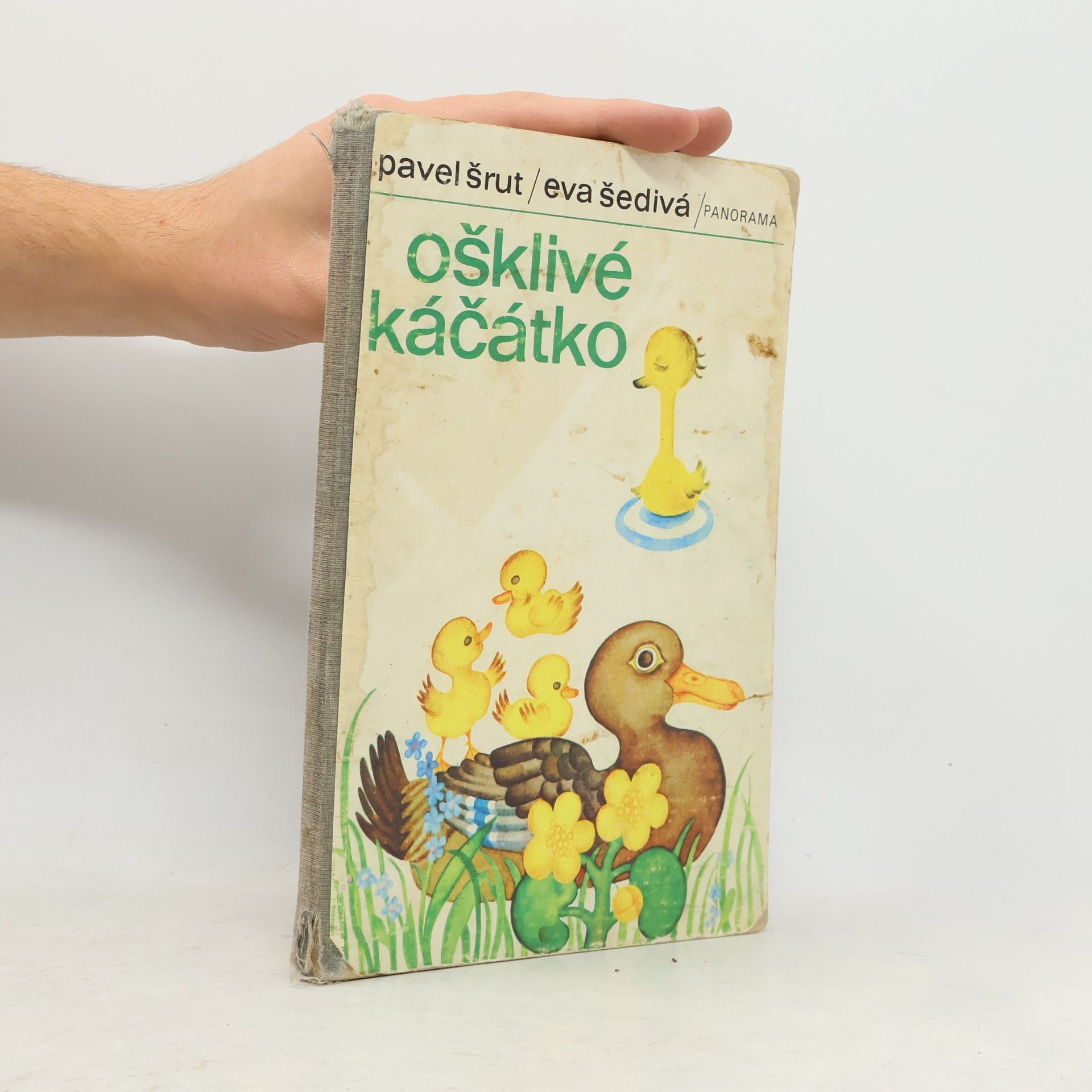 Ošklivé káčátko