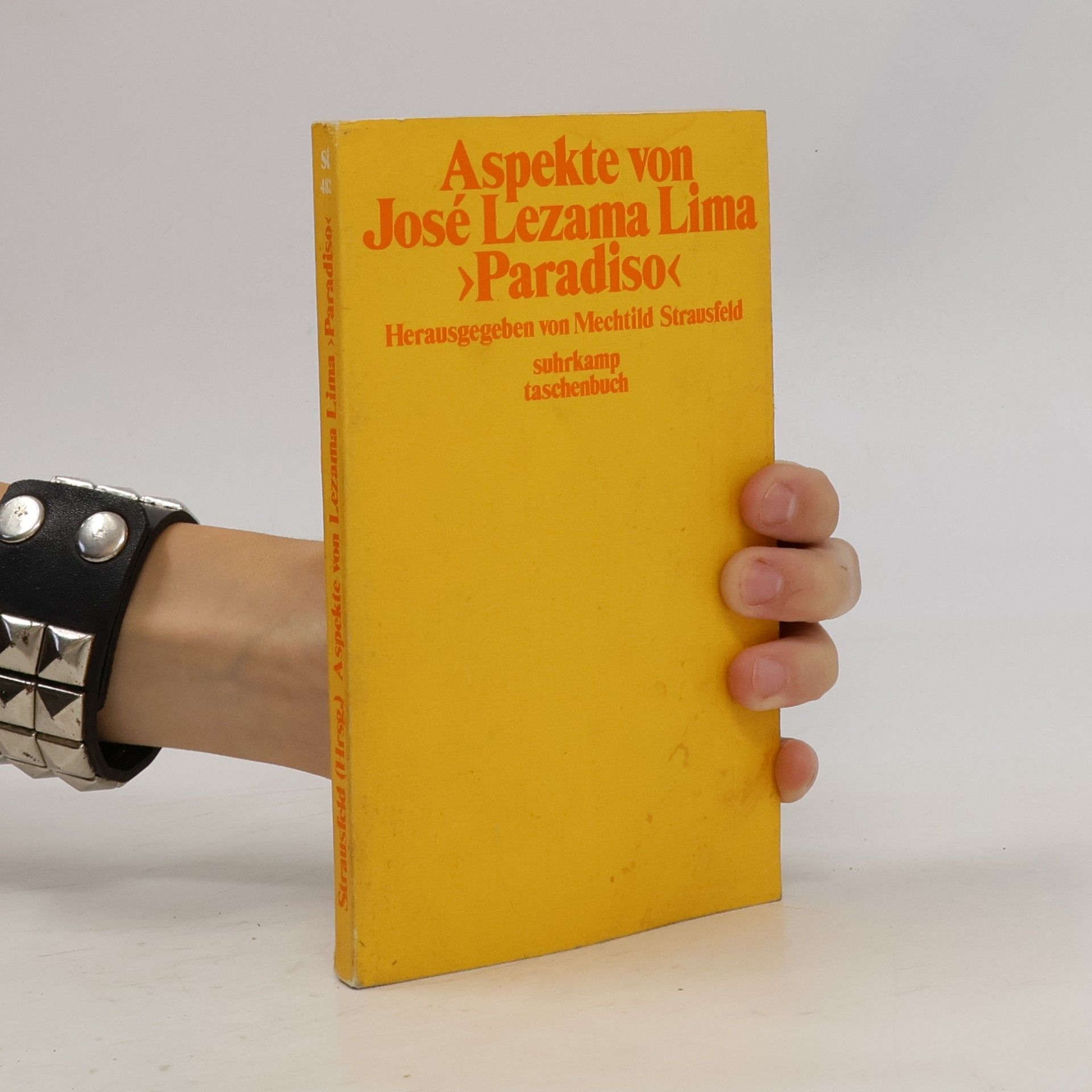 Aspekte von José Lezama Lima "Paradiso"
