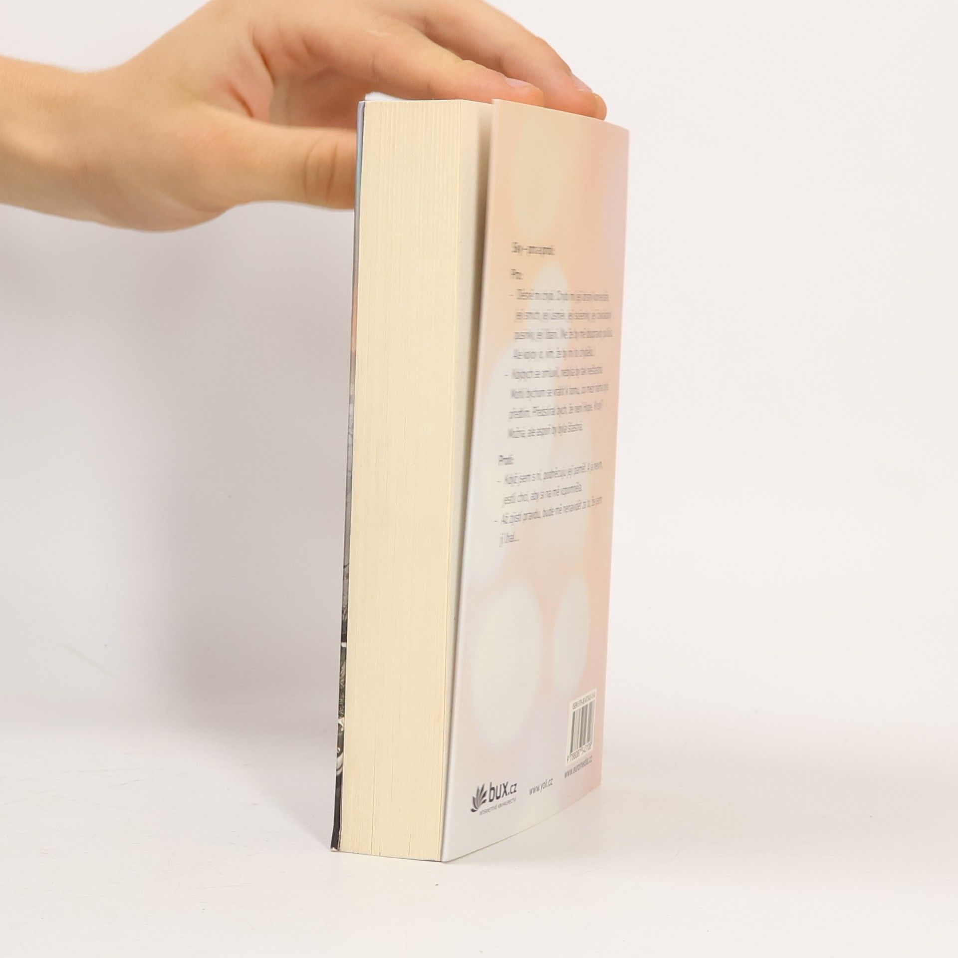 Colleen Hoover Ztracená naděje