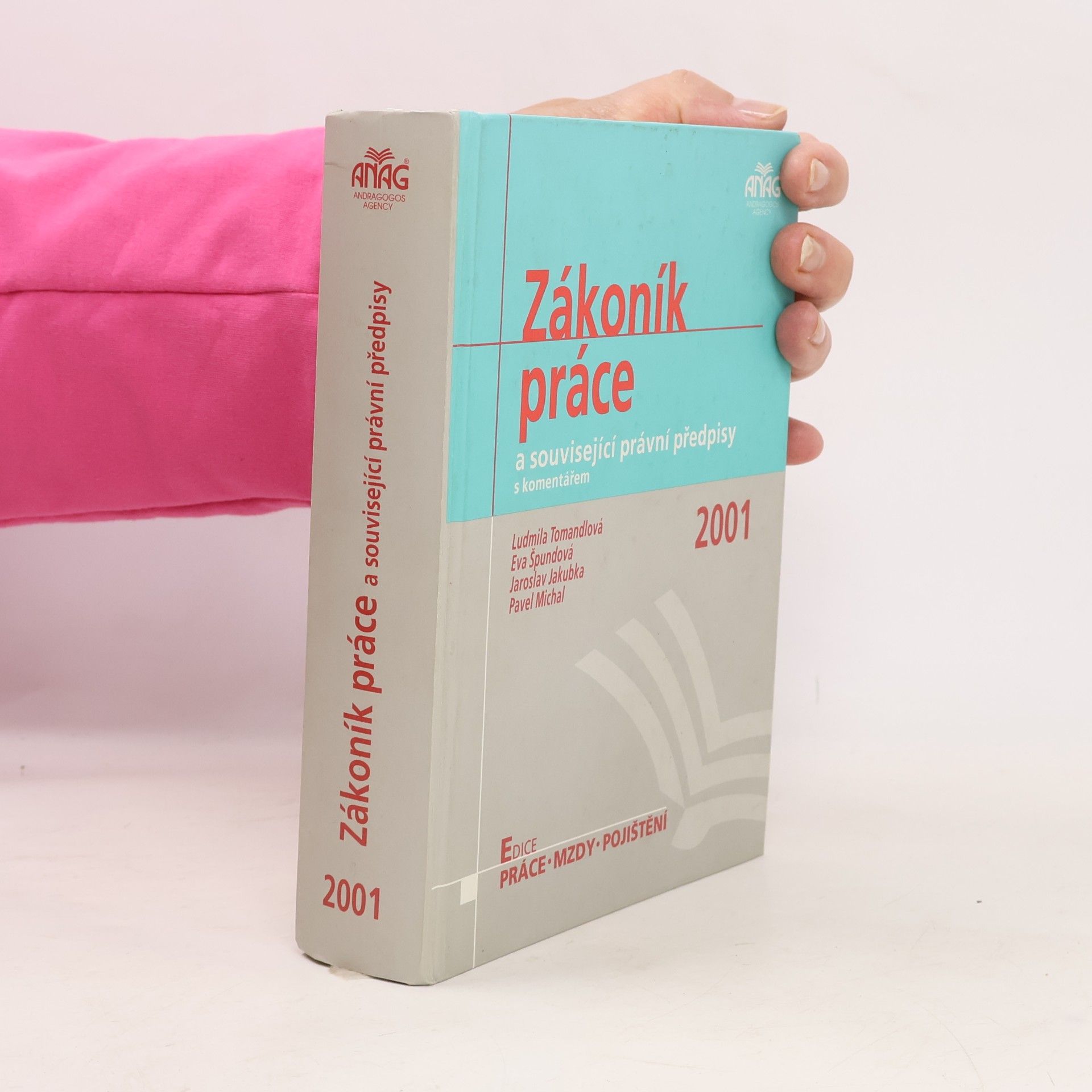 Ludmila Tomandlová Zákoník práce a související právní předpisy s komentářem 2001