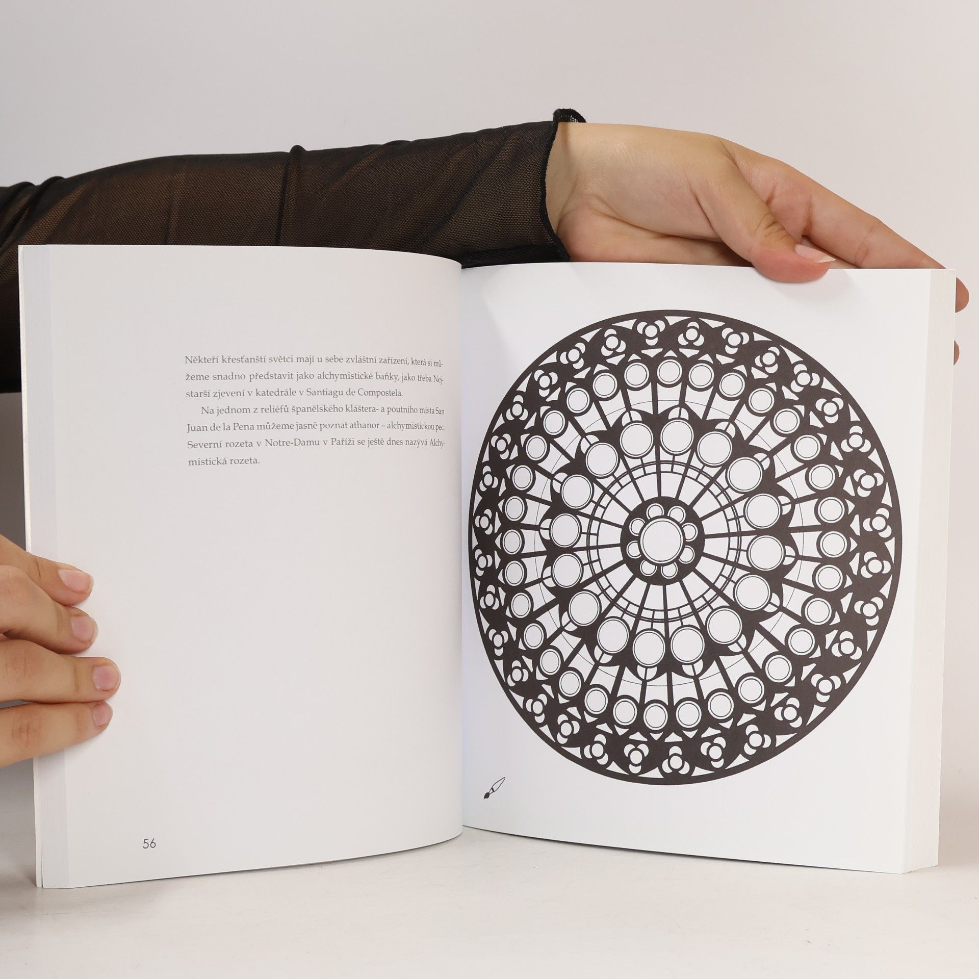 Ruediger Dahlke Mandaly světa - Meditace a léčivé rituály