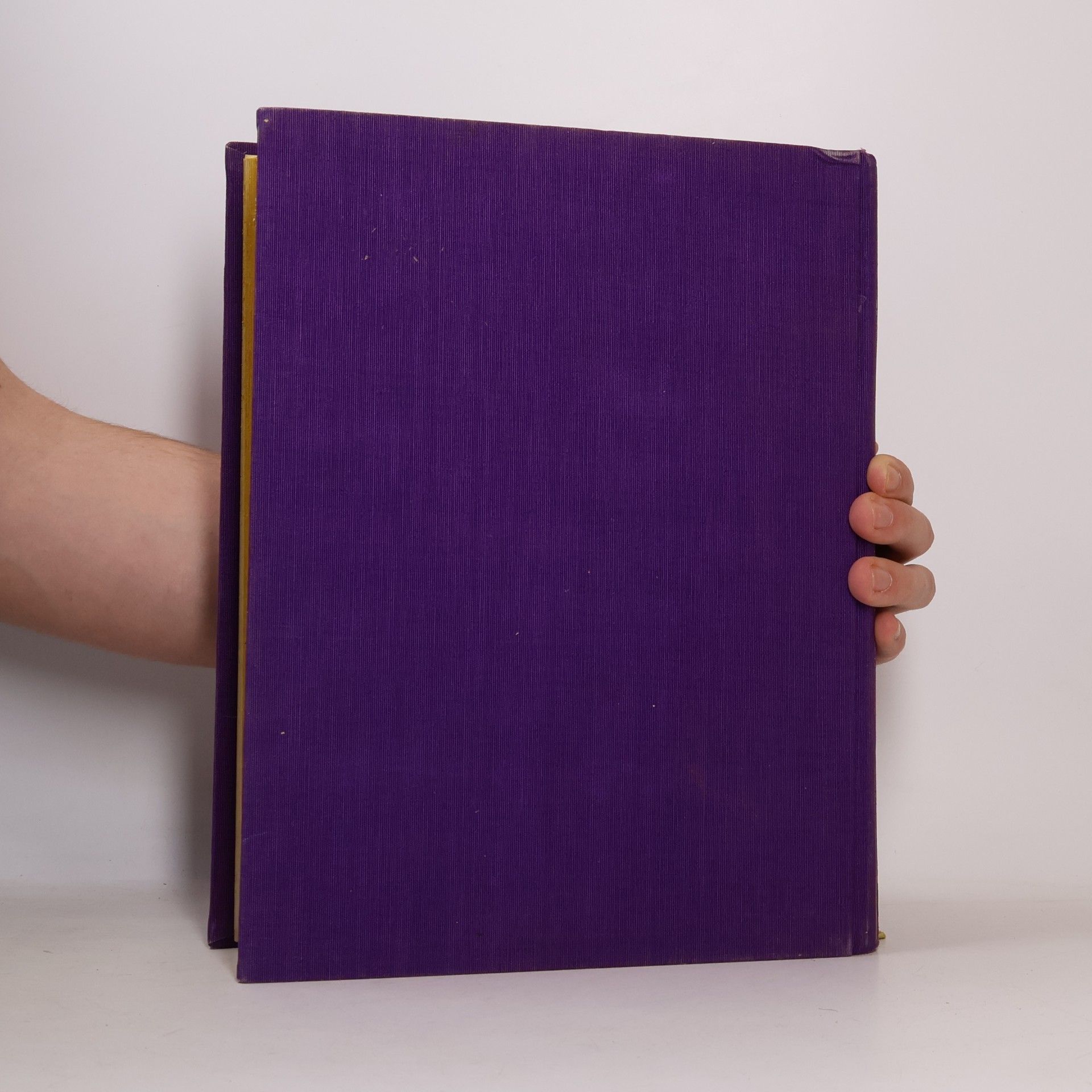 Alfons Heilmann Katholische Volksbibel