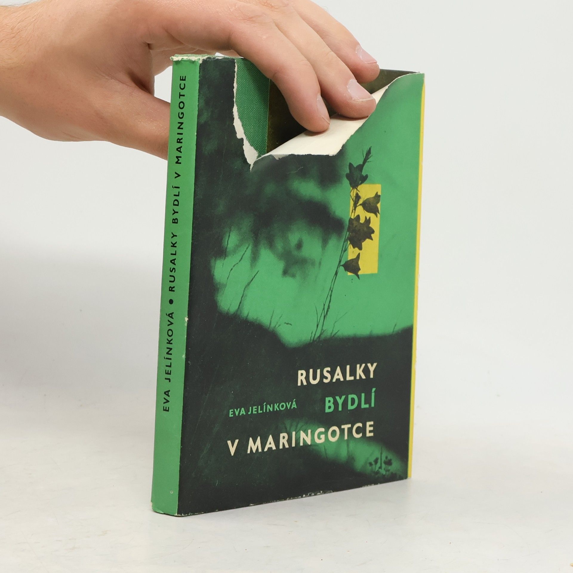 Eva Jelínková Rusalky bydlí v maringotce