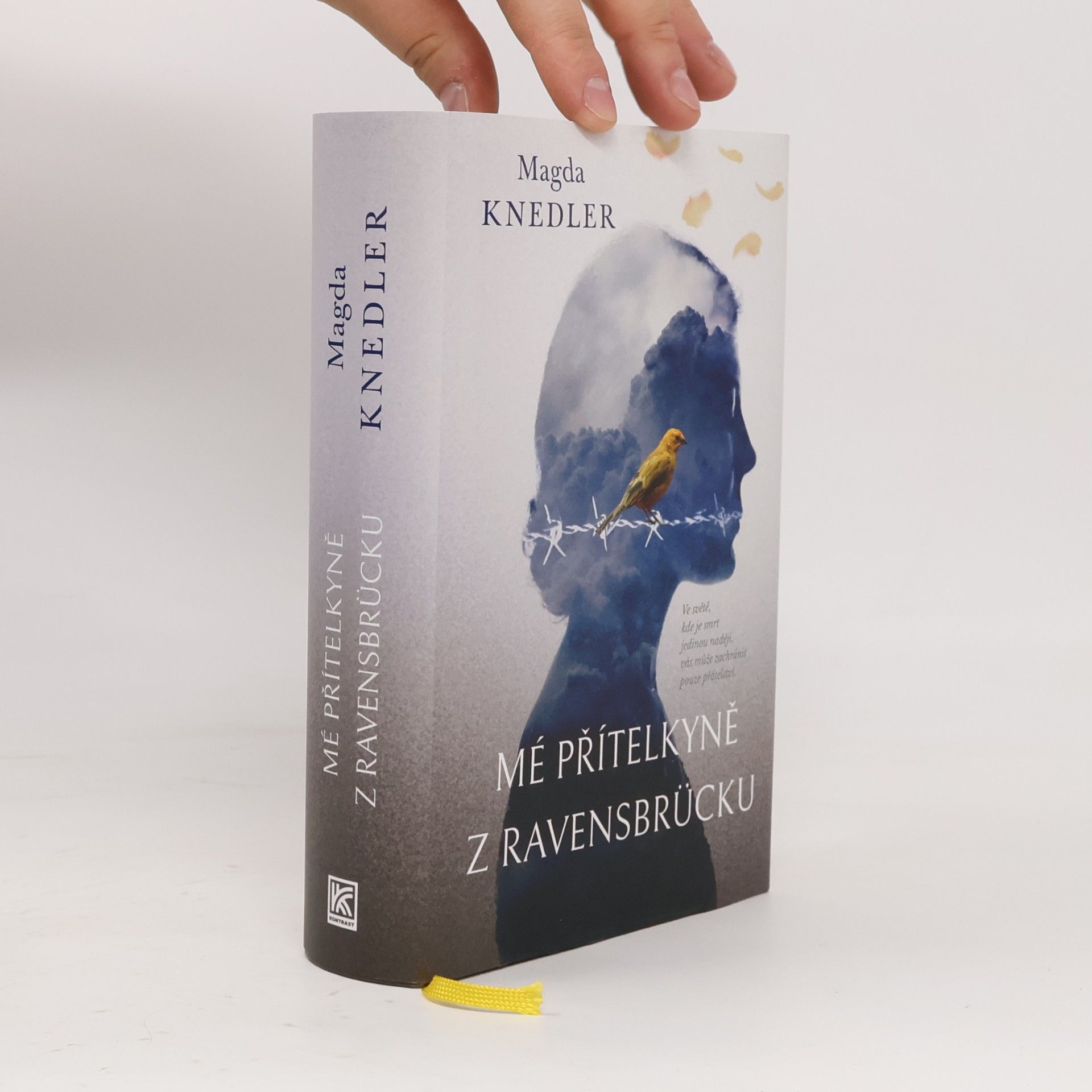 Magdalena Knedler Mé přítelkyně z Ravensbrücku