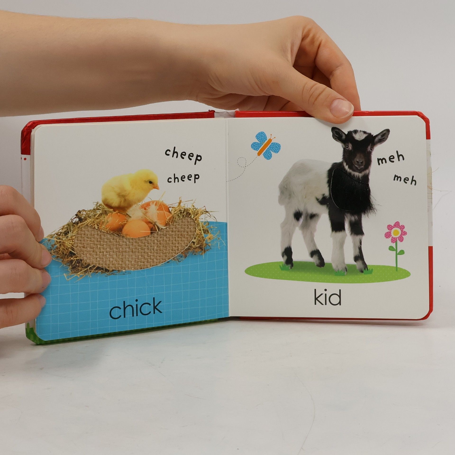 Scholastic Early Learners: Touch and Feel Farm