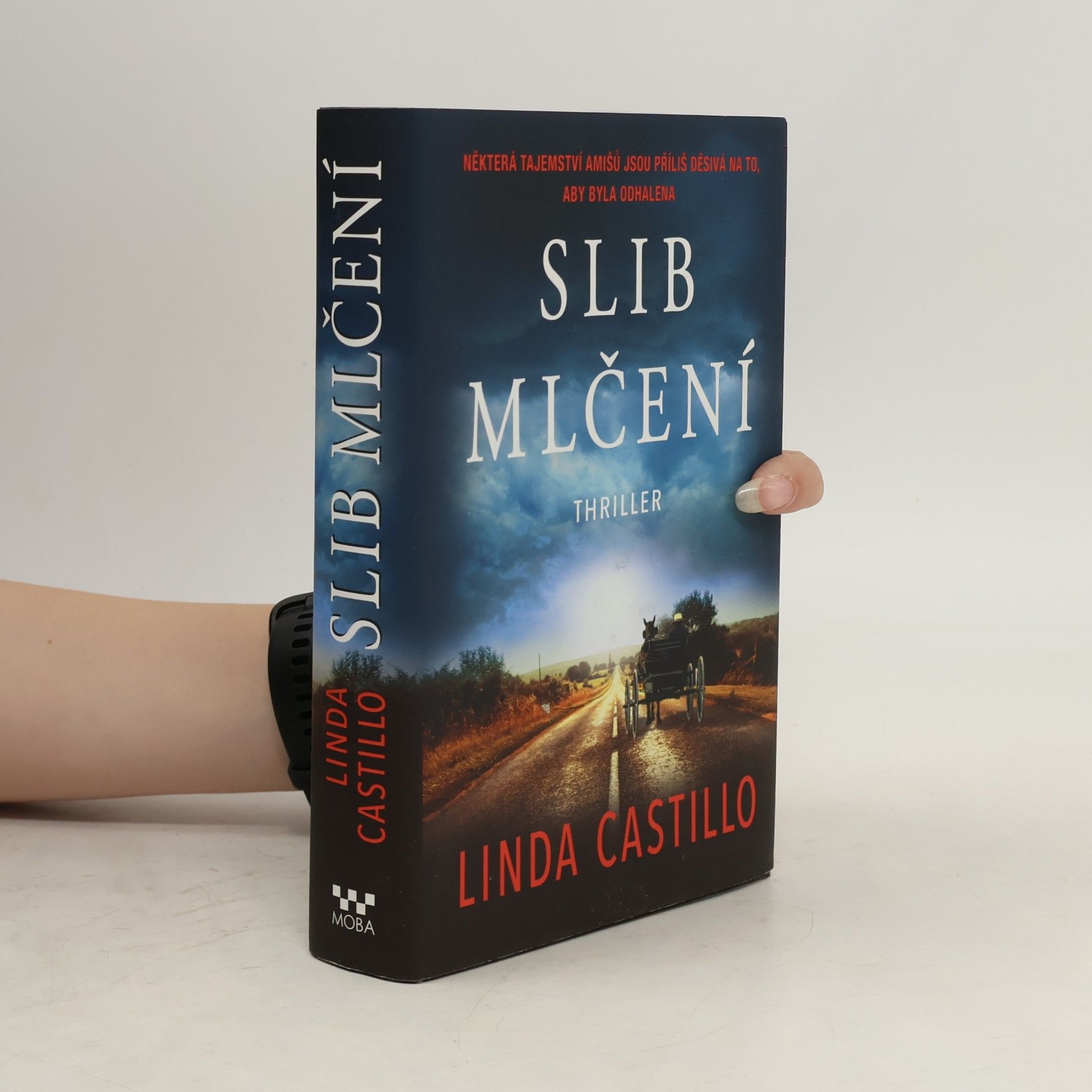 Linda Castillo Slib mlčení