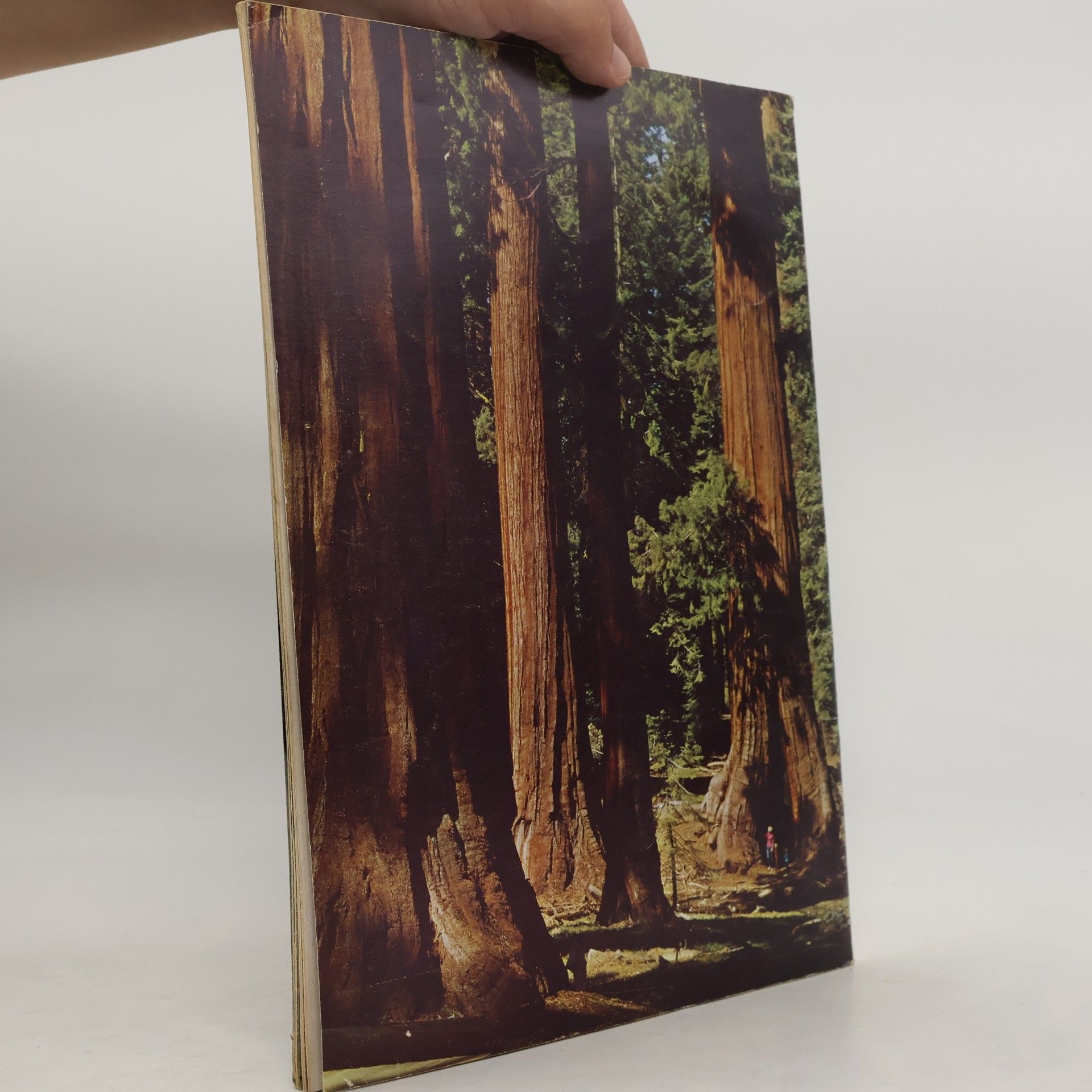 Autorenkollektiv Yosemite