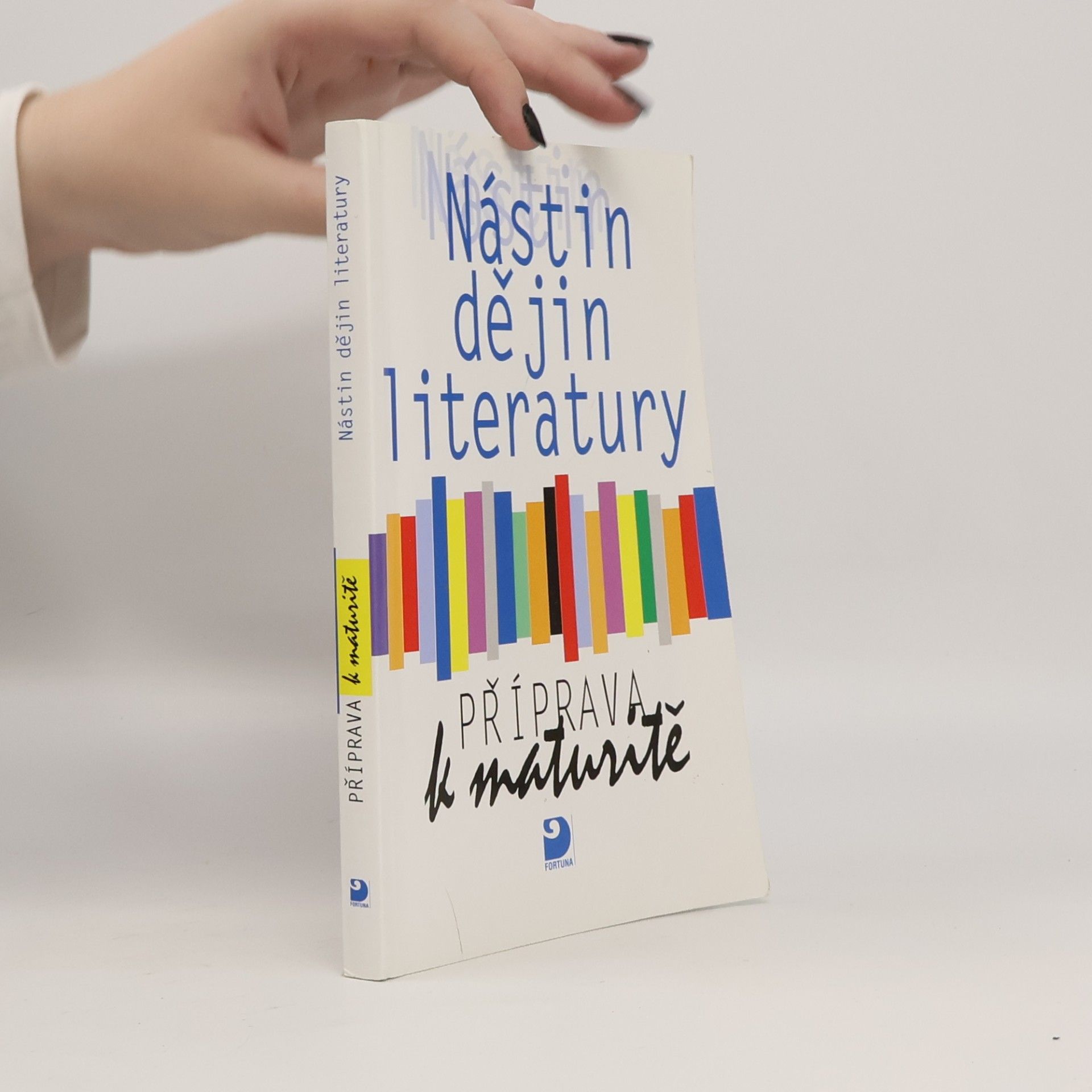 Nástin dějin literatury. Příprava k maturitě