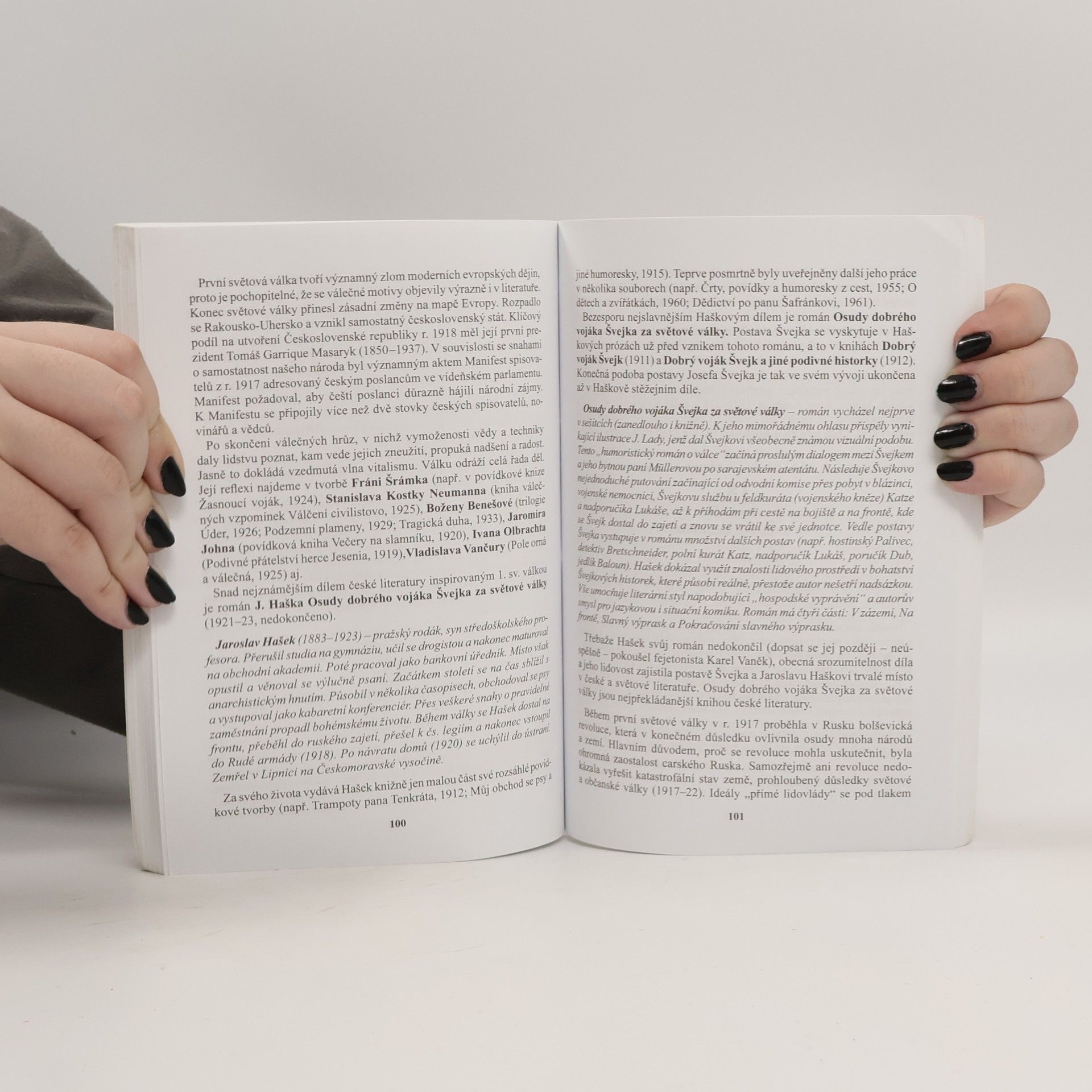 Milan Kudrys Nástin dějin literatury. Příprava k maturitě