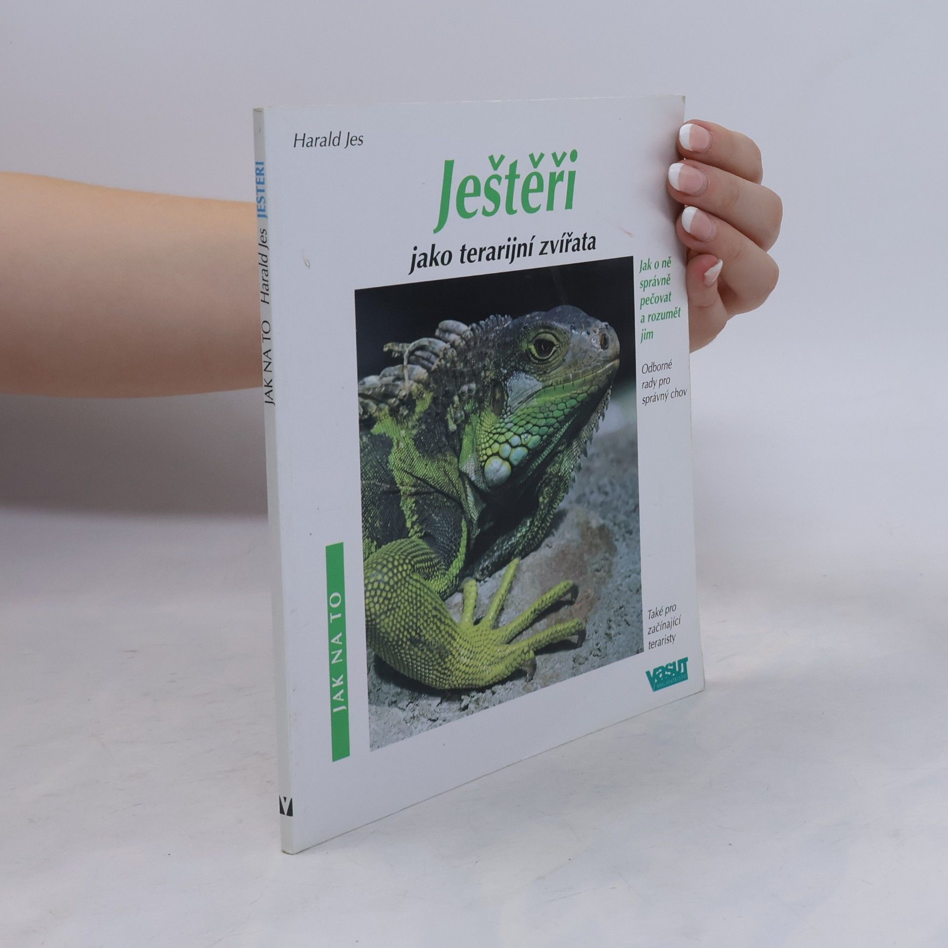 Ještěři jako terarijní zvířata