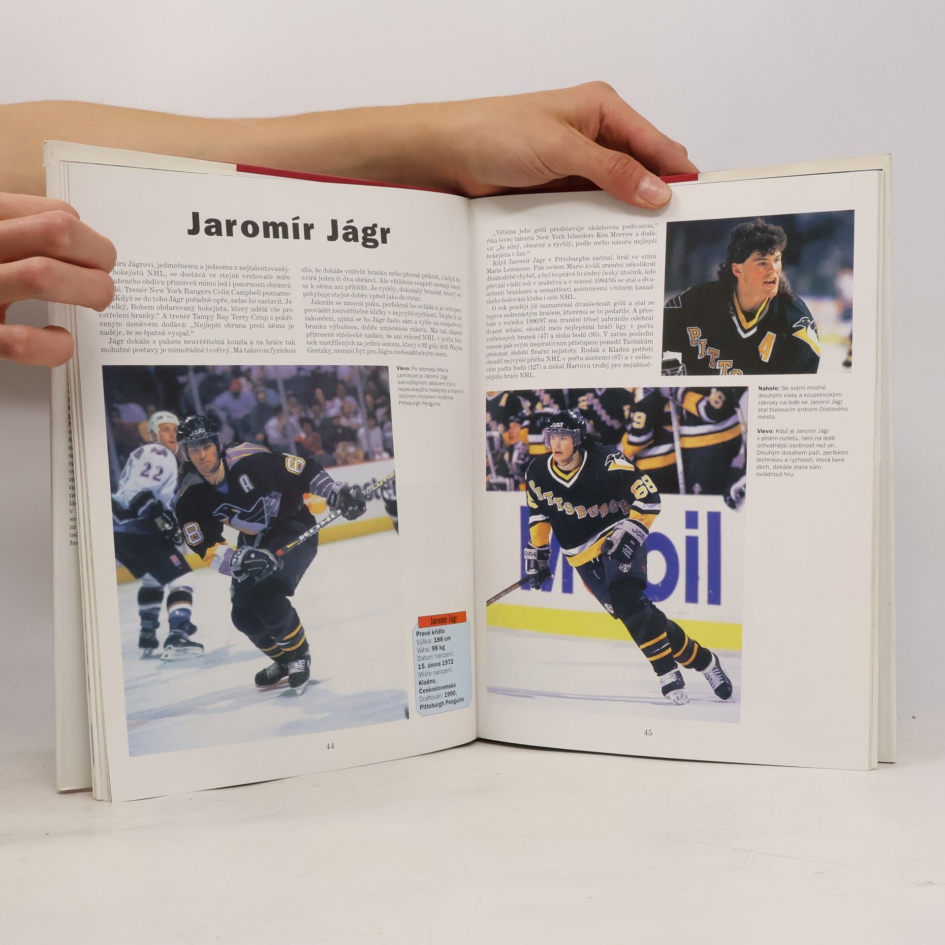 James Duplacey NHL - hvězdy zblízka
