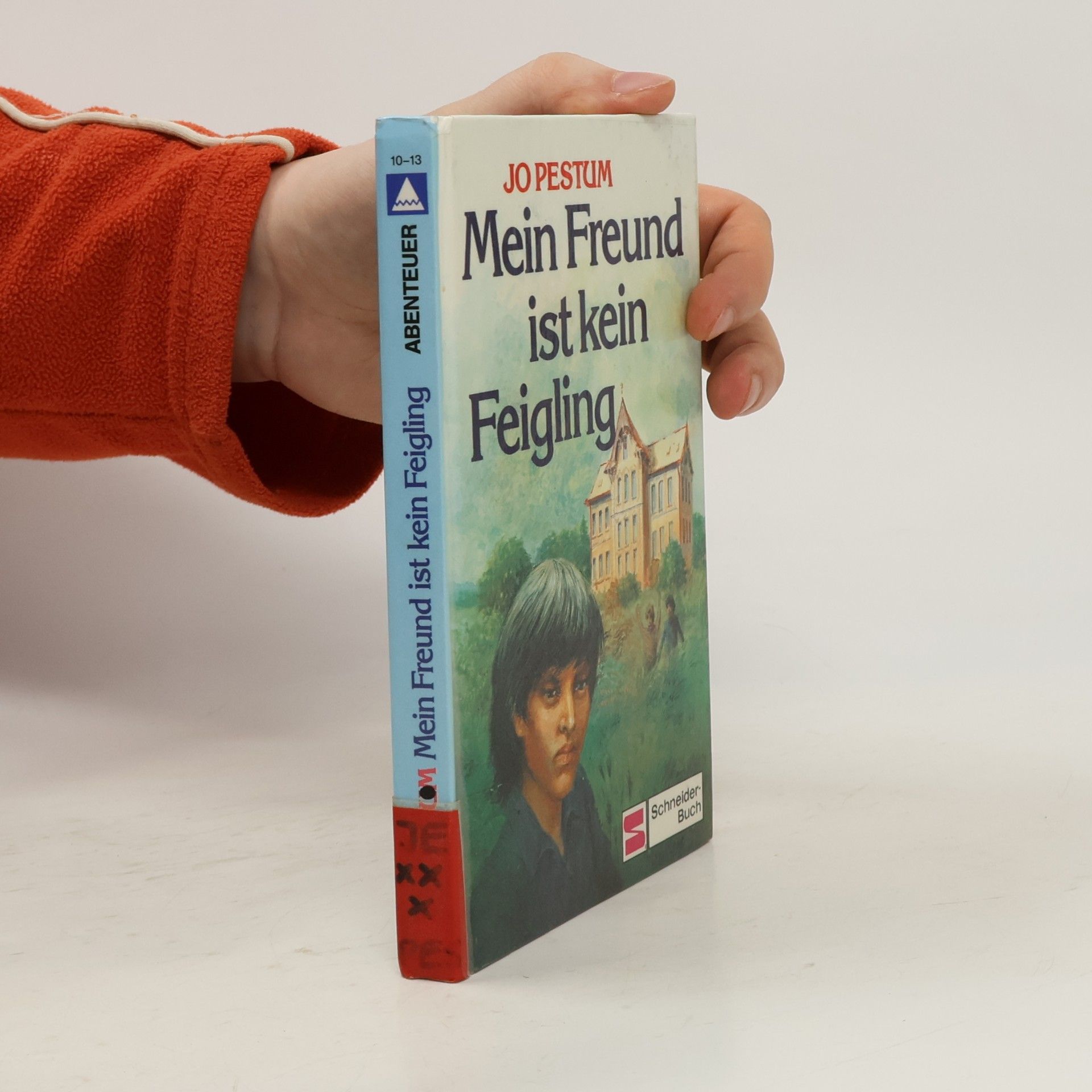 Jo Pestum Mein Freund ist kein Feigling
