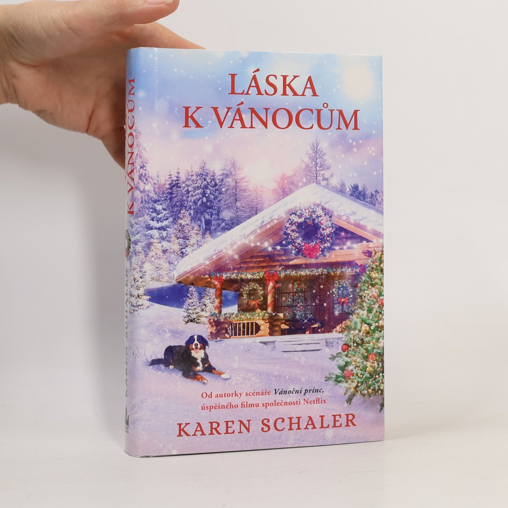 Karen Schaler Láska k Vánocům