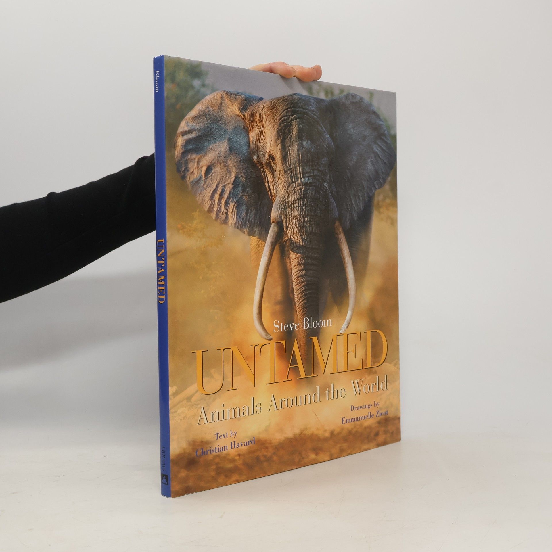 Emmanuelle Zicot Untamed