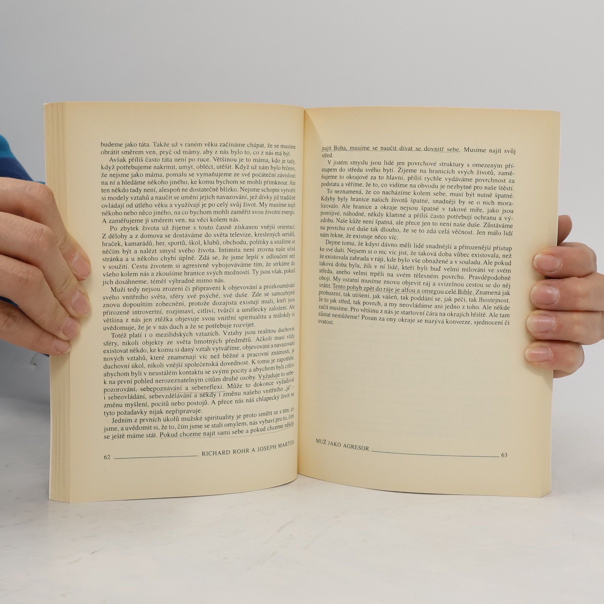 Joseph Martos Cesta divokého muže. Úvahy o mužské spiritualitě