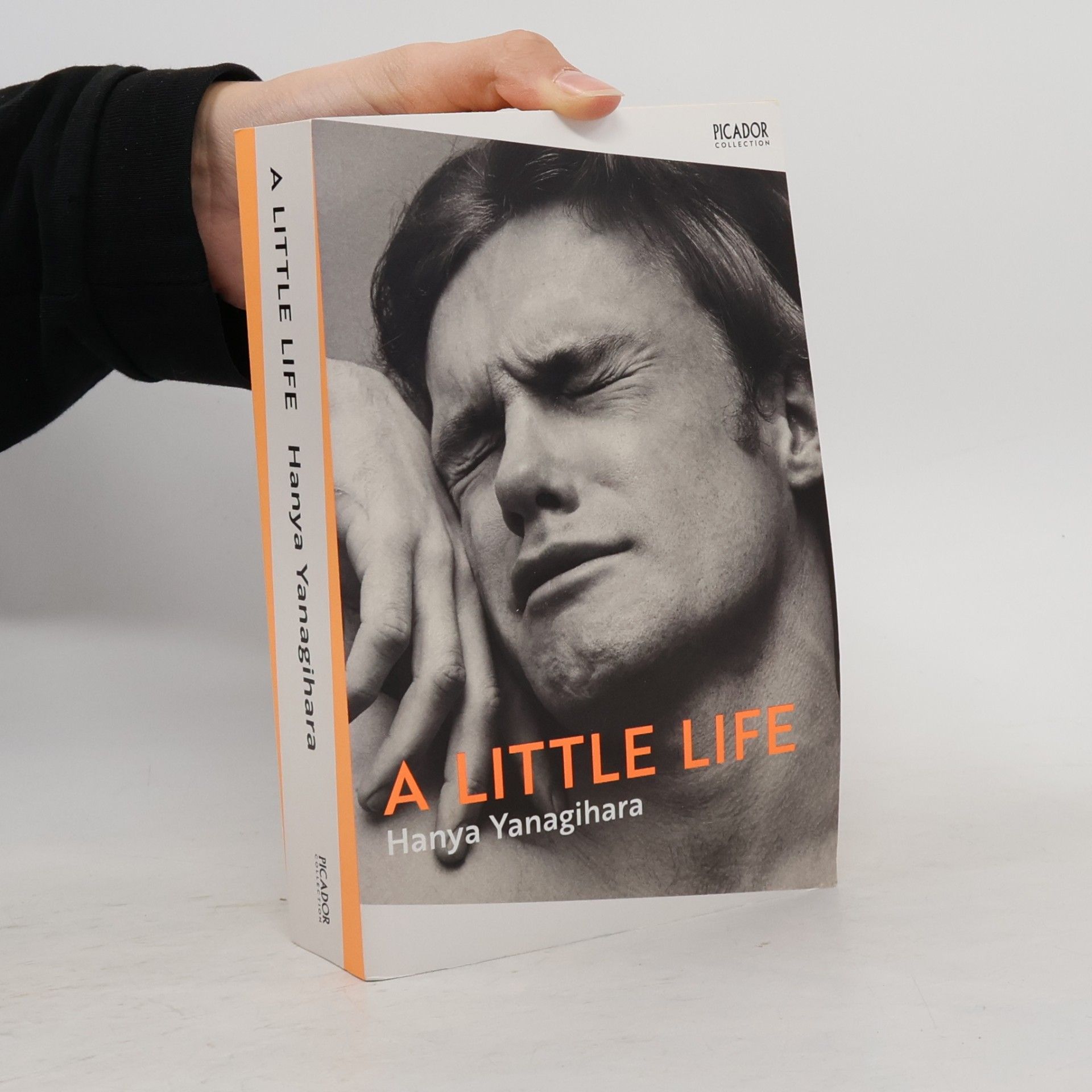 Hanya Yanagihara A Little Life