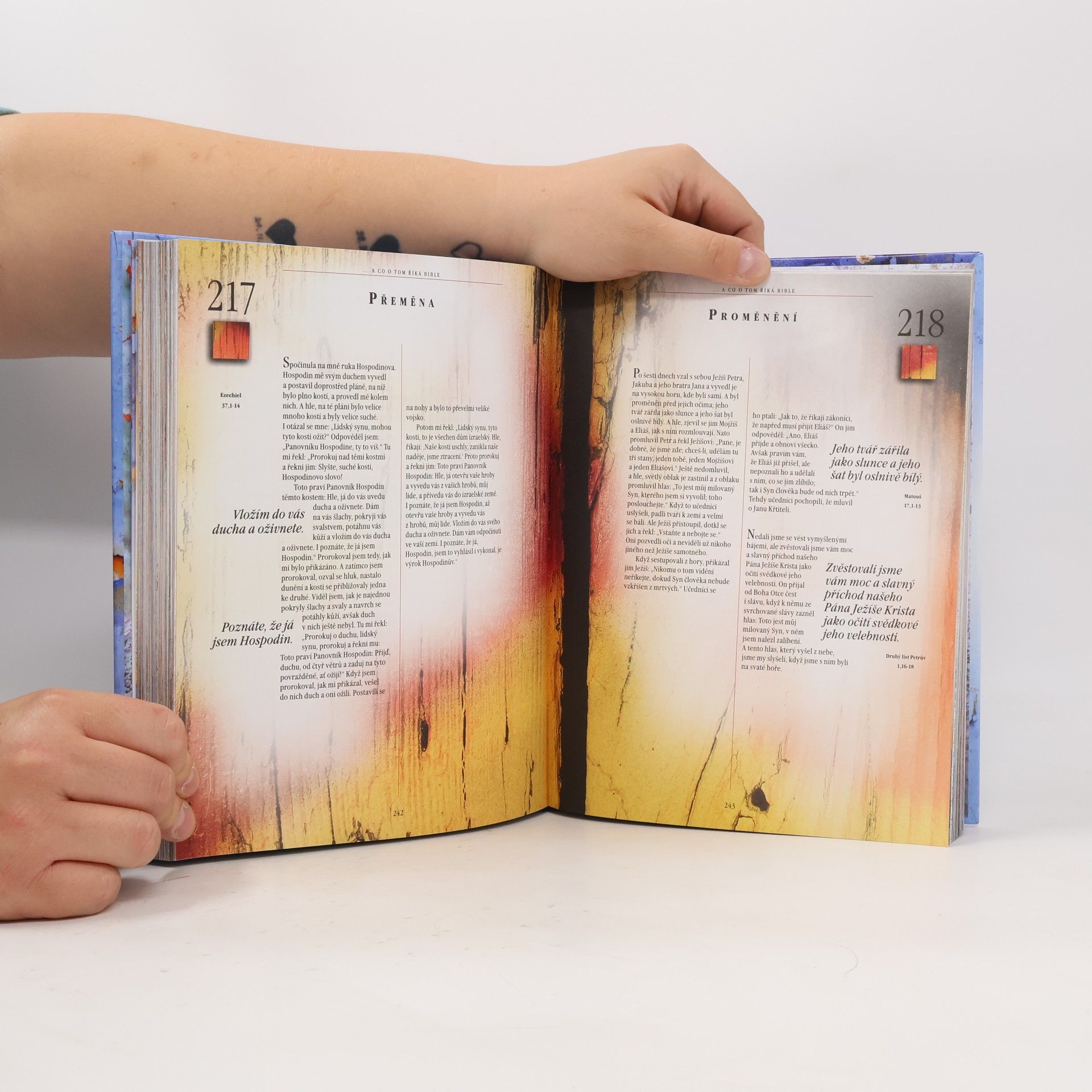 Derek Williams ...a co o tom říká Bible