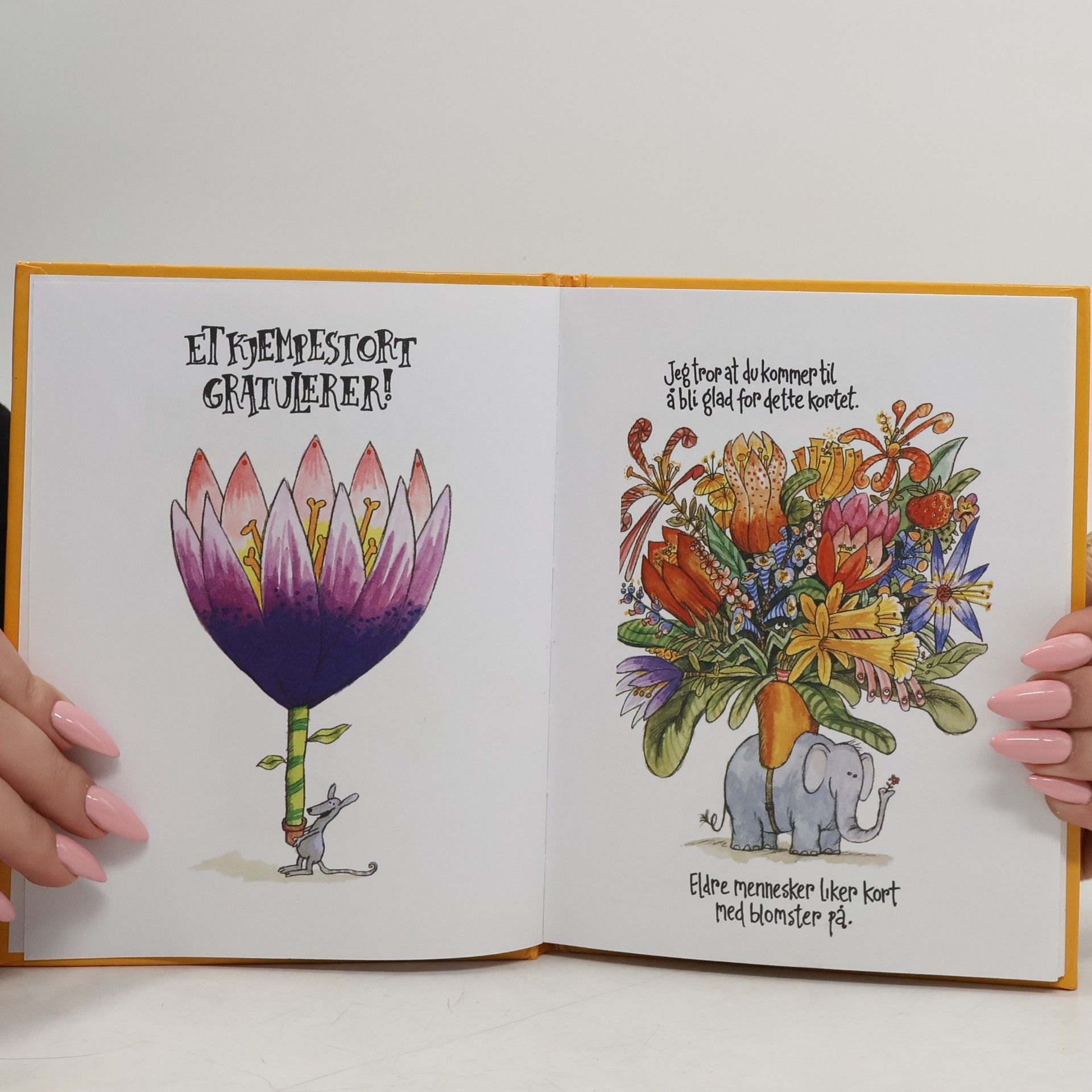 Sven Nordqvist Gratulerer! I stedet for en blomst