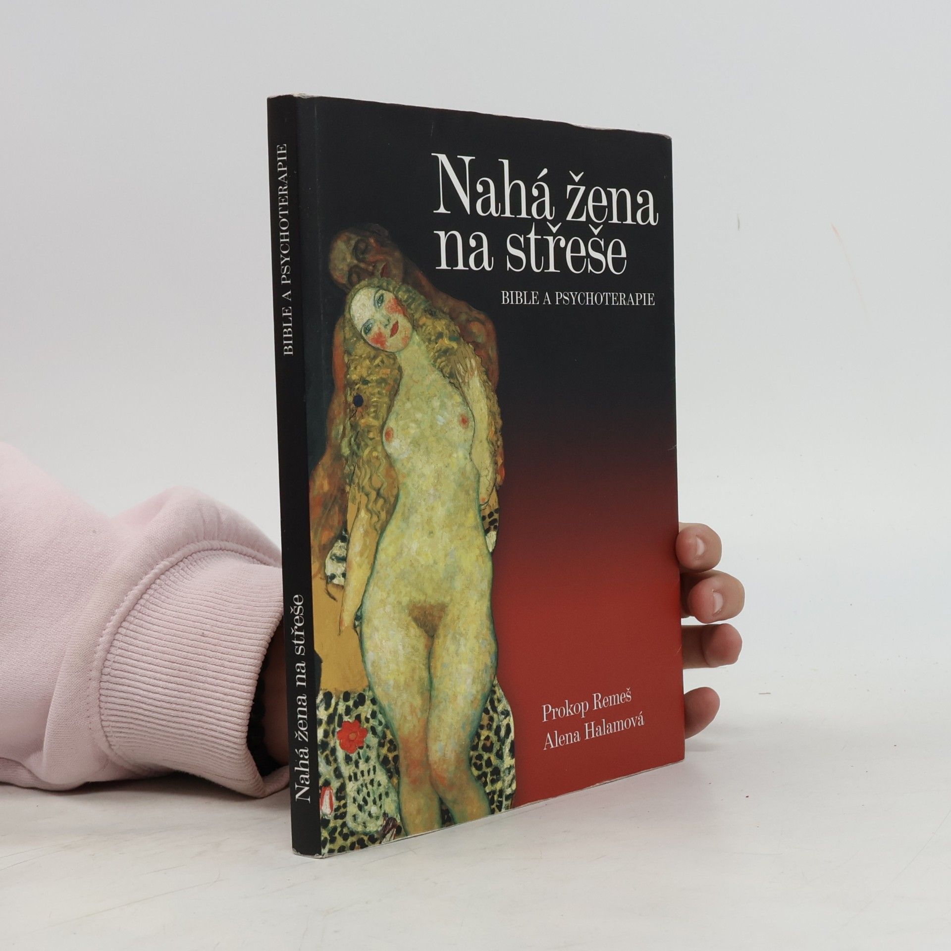Alena Halamová Nahá žena na střeše