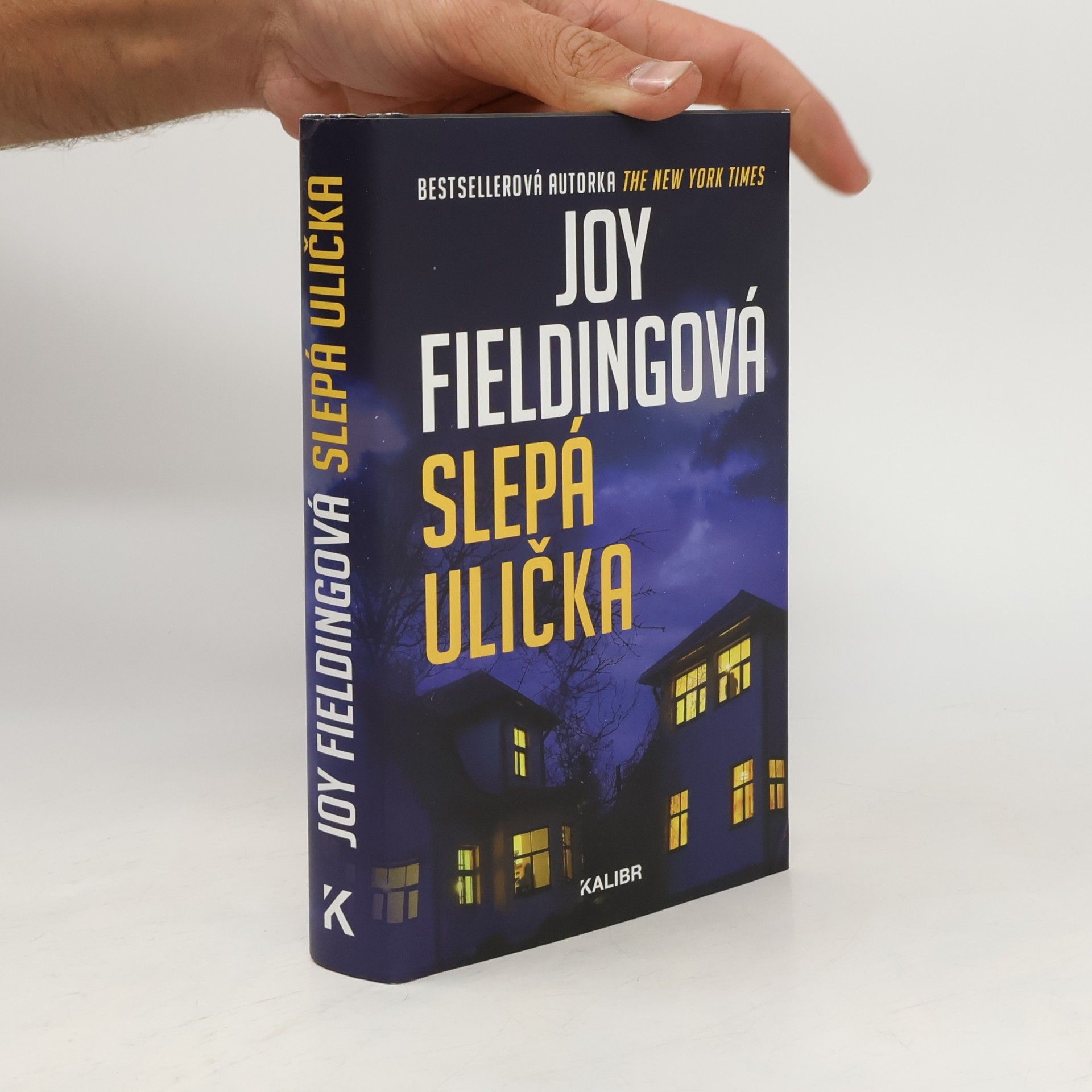 Joy Fielding Slepá ulička