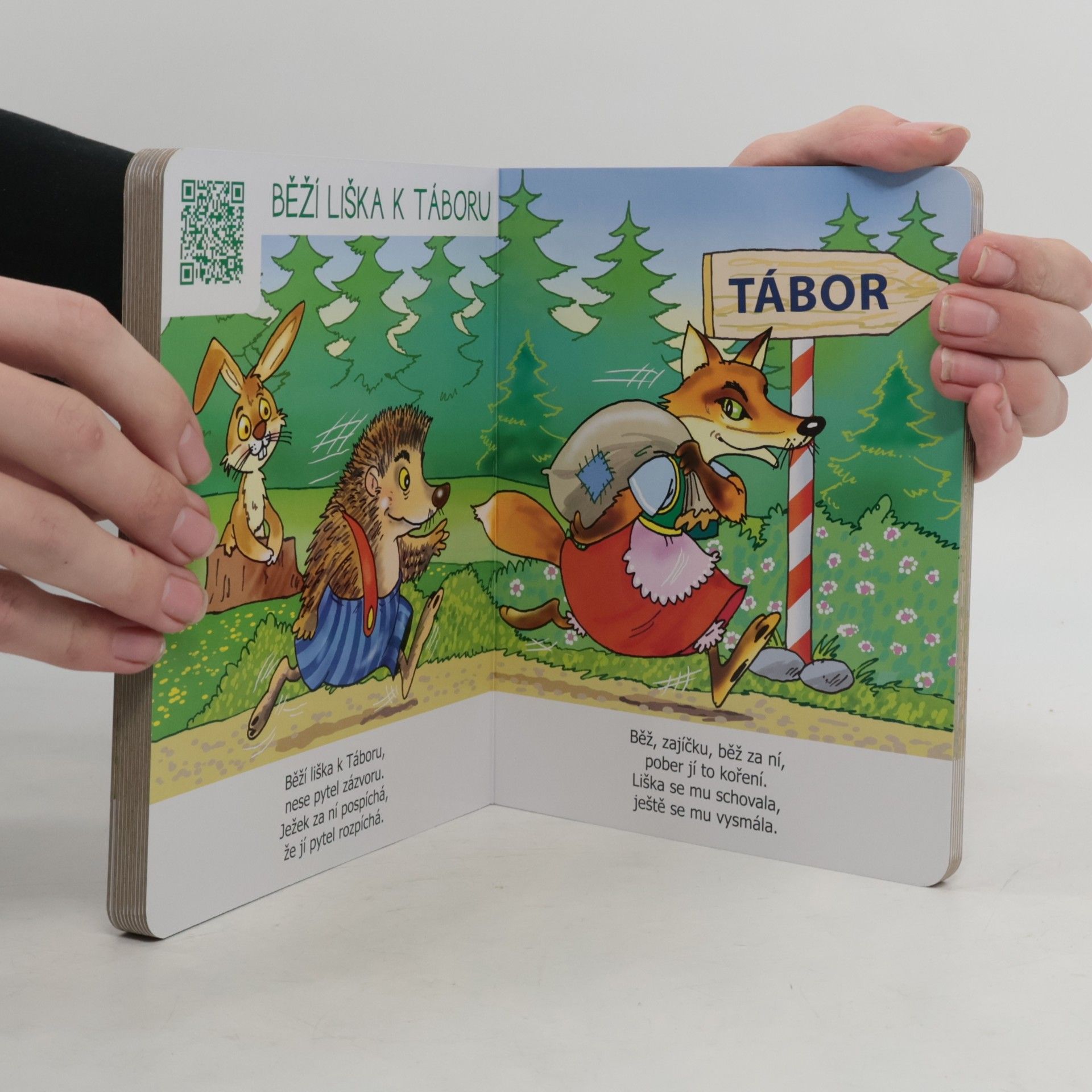 Autorenkollektiv Holka modrooká