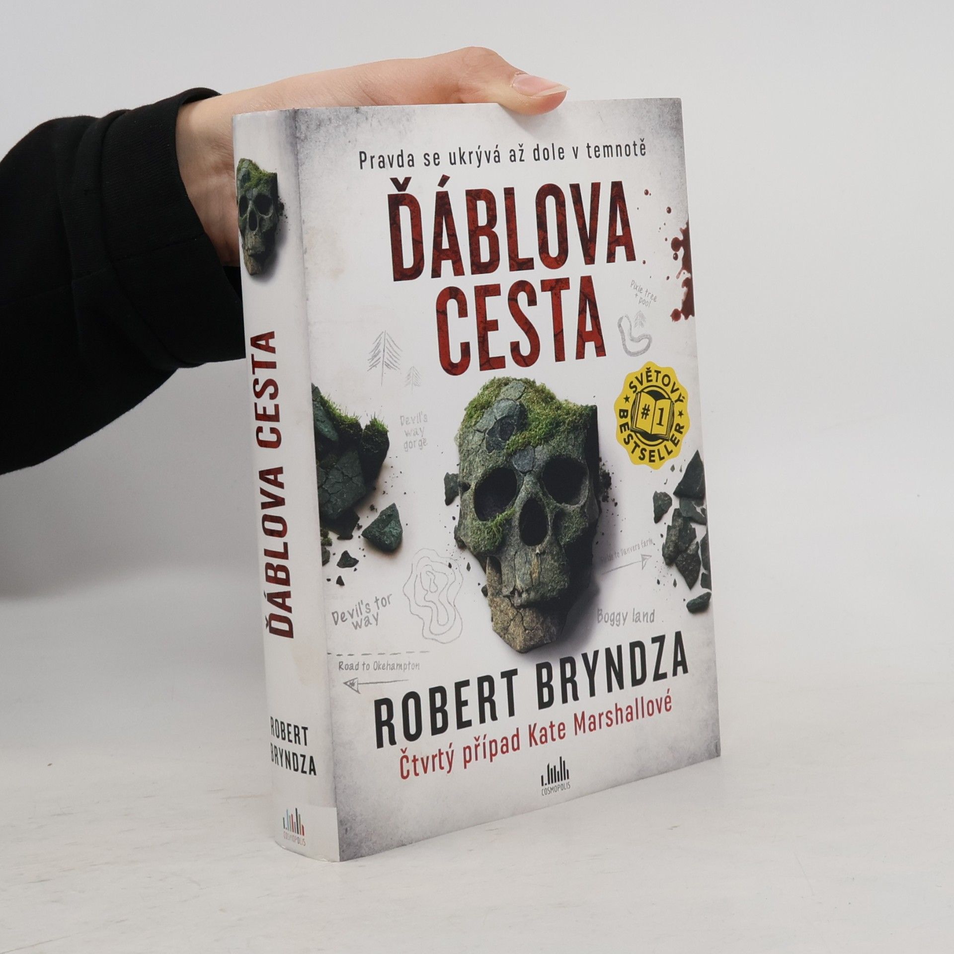 Robert Bryndza Ďáblova cesta