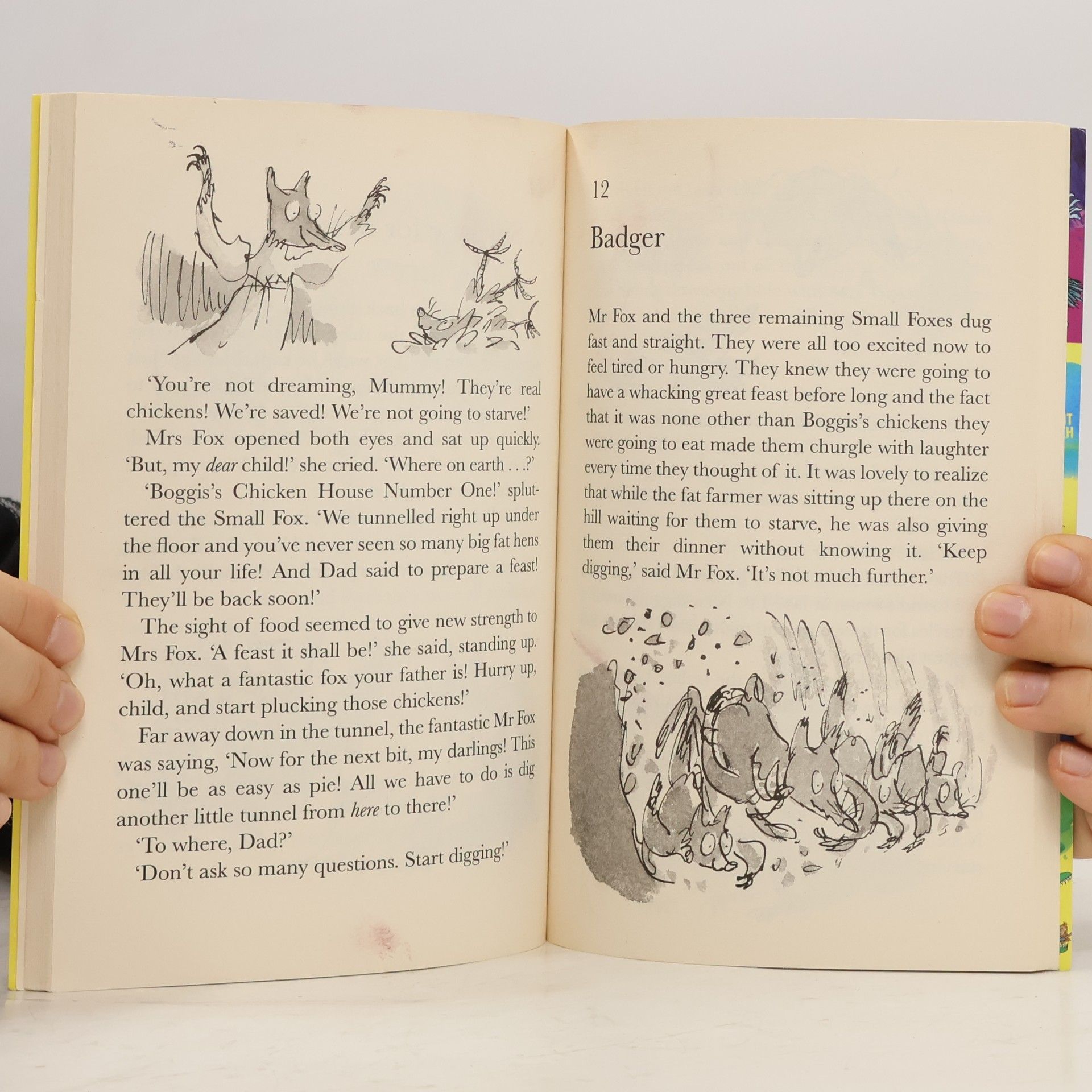 Roald Dahl Fantastic Mr Fox