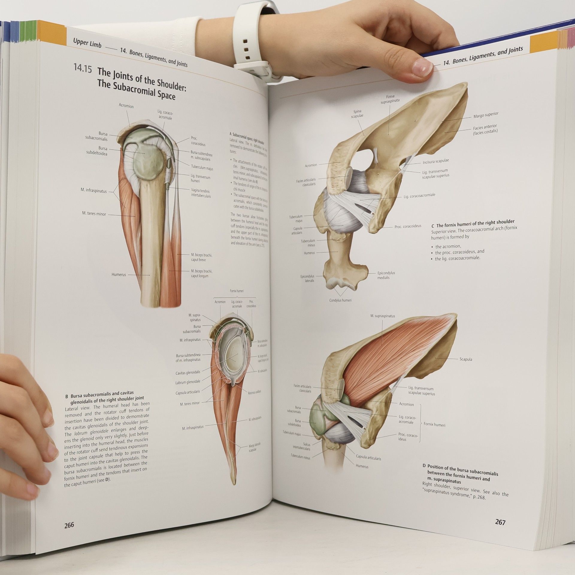 Michael Schünke Atlas of Anatomy - 1: General Anatomy and Musculoskeletal System
