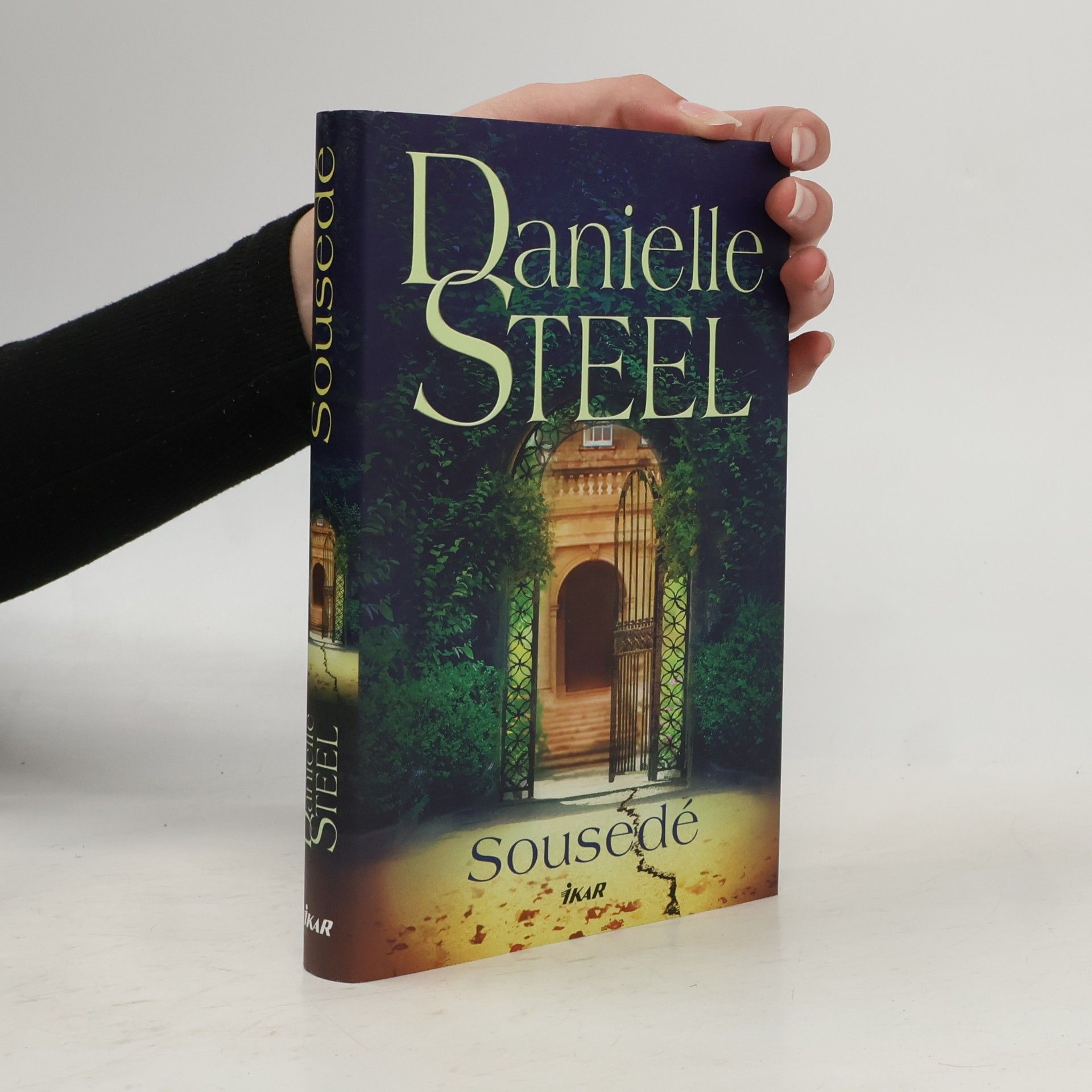 Danielle Steel Sousedé