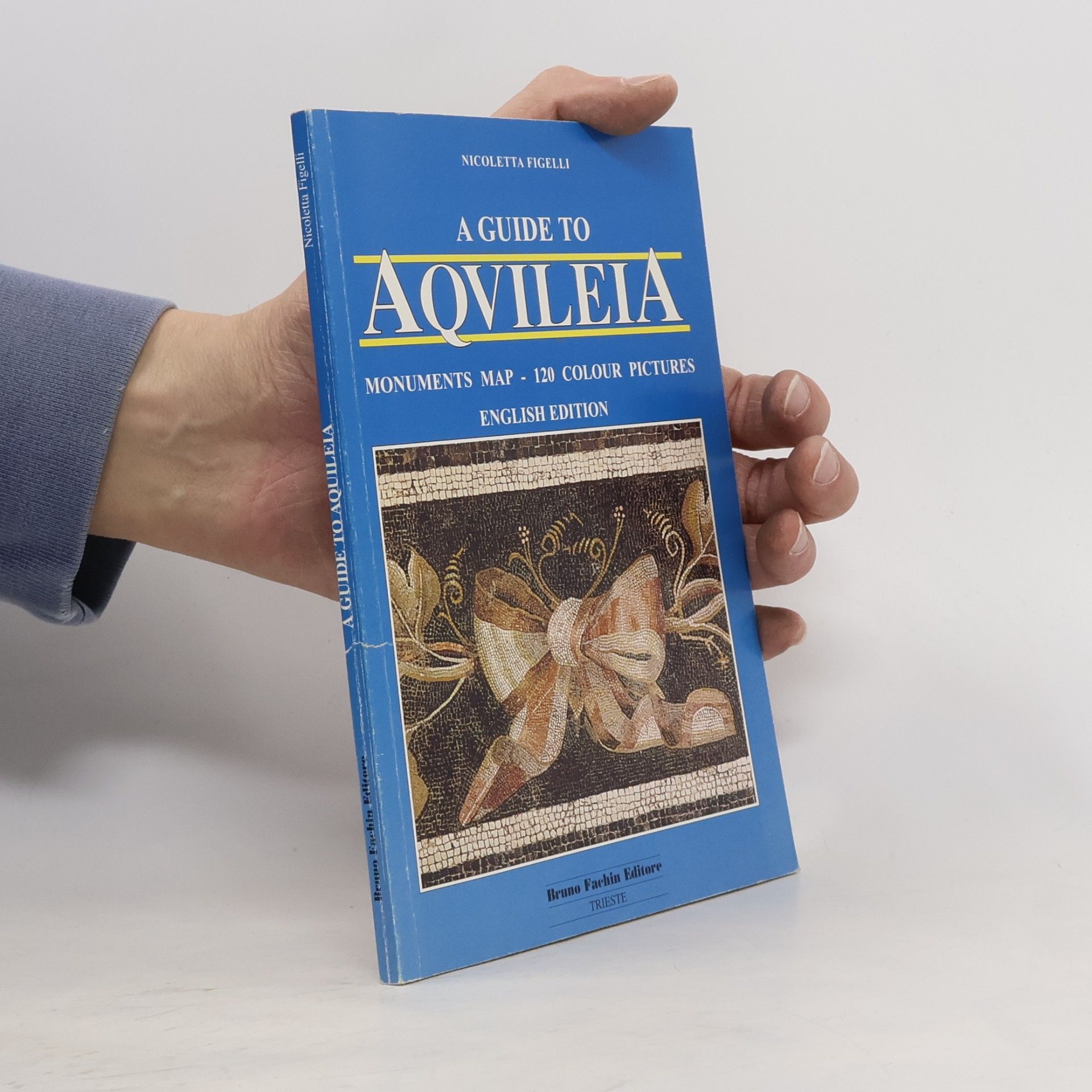 Nicoletta Figelli Reiseführer Aqvileia