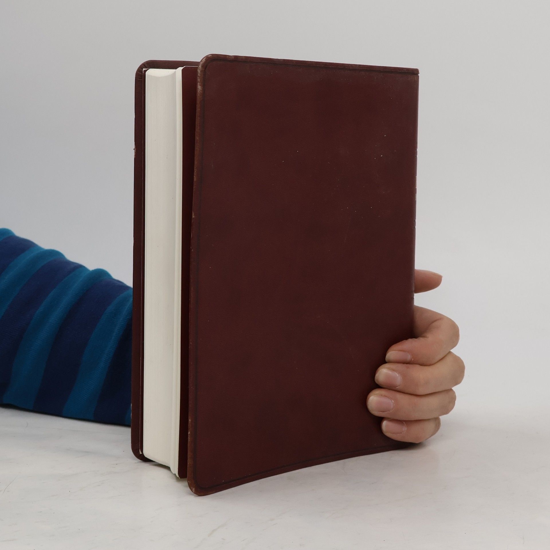 Various authors Bible Kralická. Písmo svaté Starého a Nového zákona. Podle posledního vydání z roku 1613