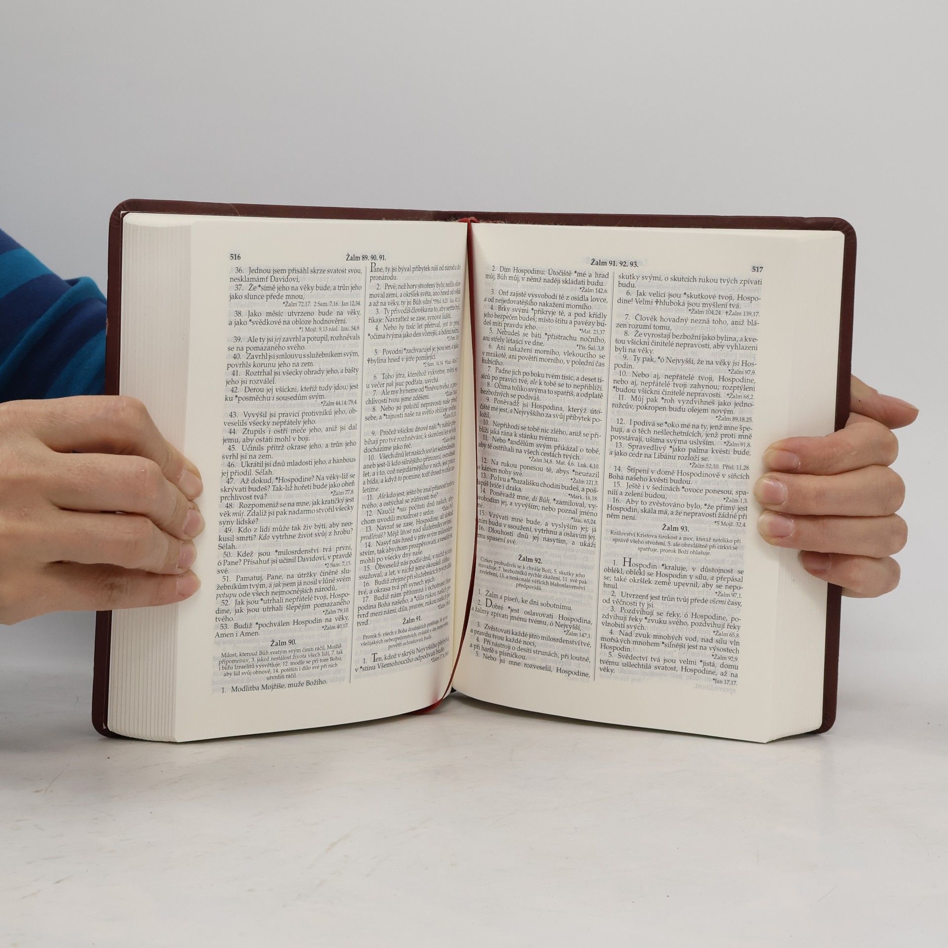 Various authors Bible Kralická. Písmo svaté Starého a Nového zákona. Podle posledního vydání z roku 1613
