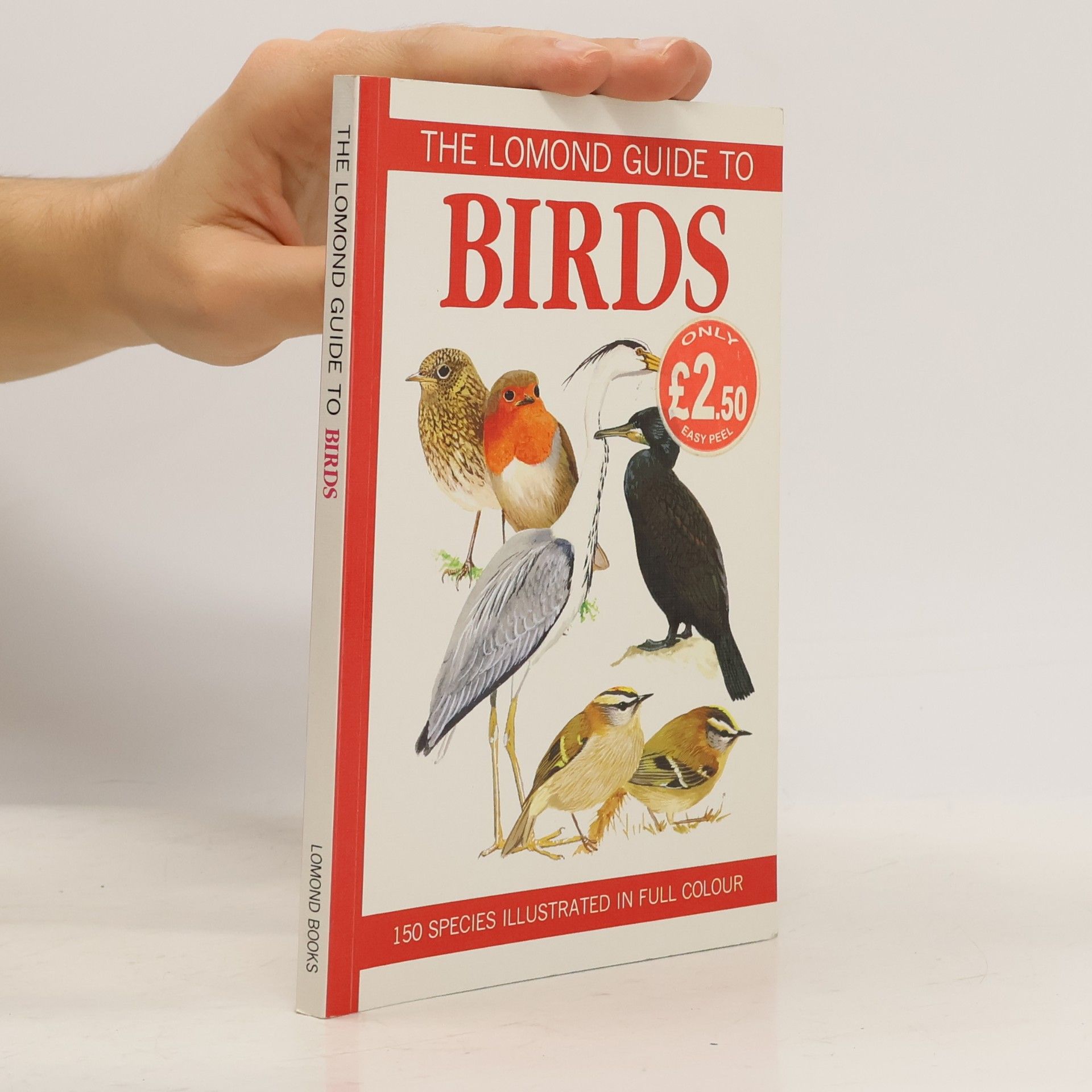 Autorenkollektiv Lomond Guide to Birds