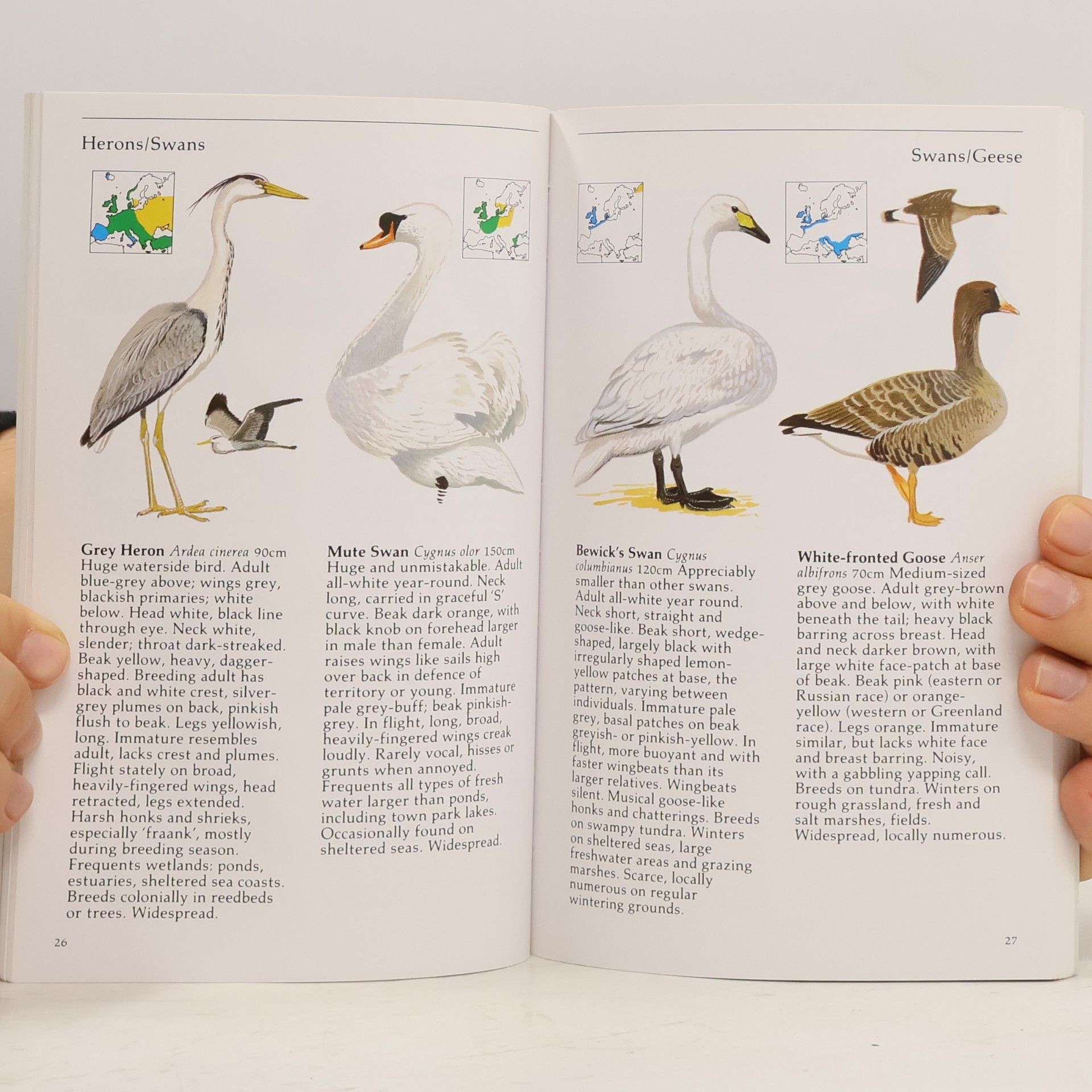 Kolektiv autorů Lomond Guide to Birds