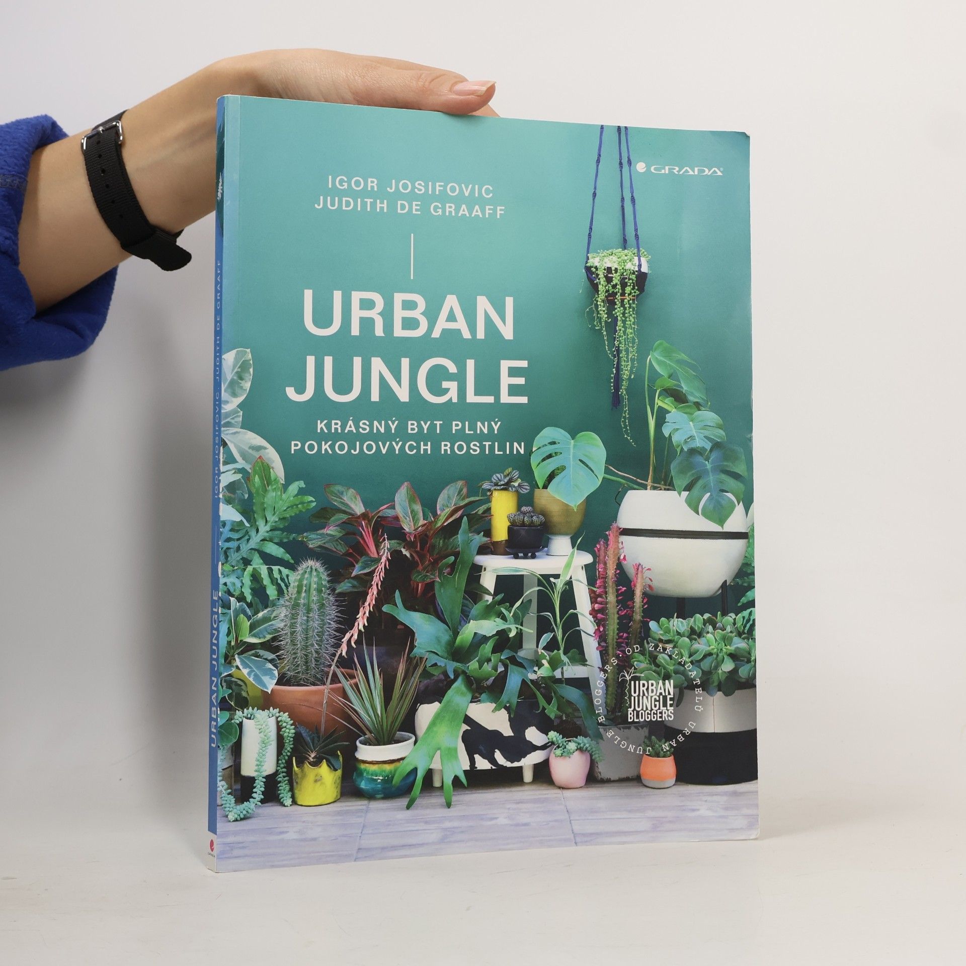 Urban Jungle