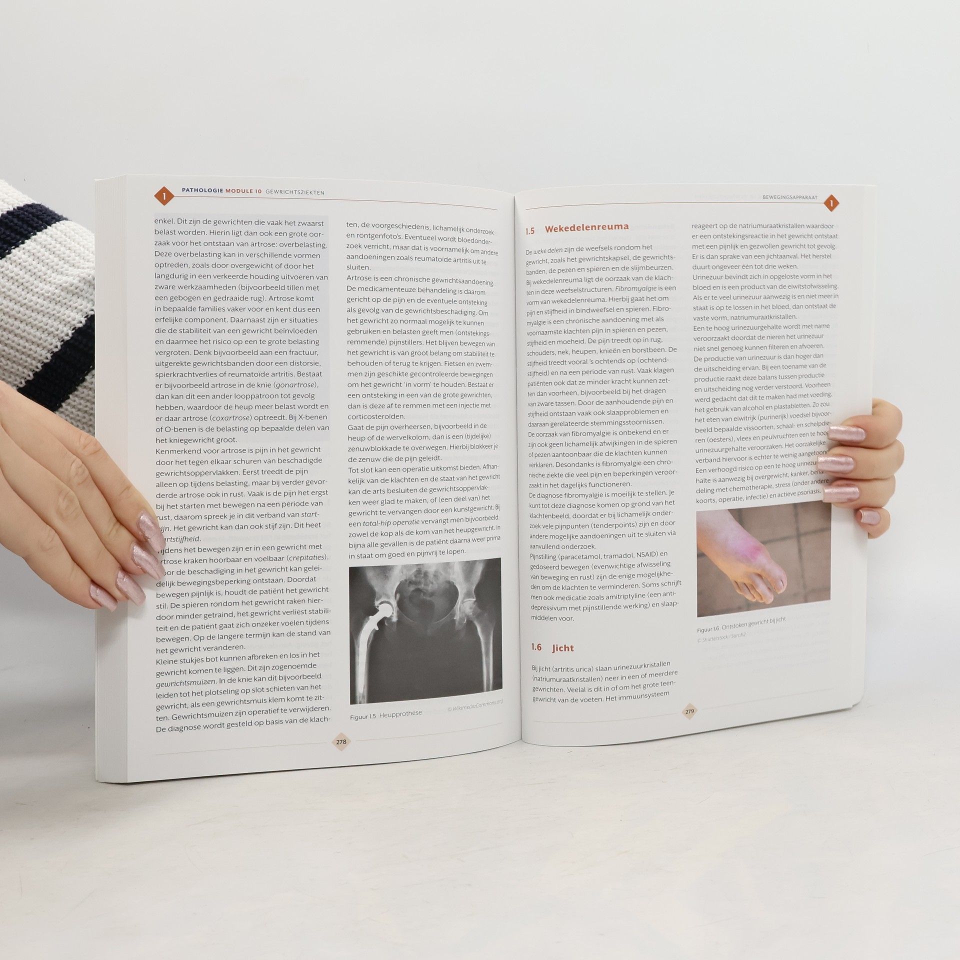Traject combipakket pathologie niv 3/4 boek en verwerkingslicentie 5 jaar