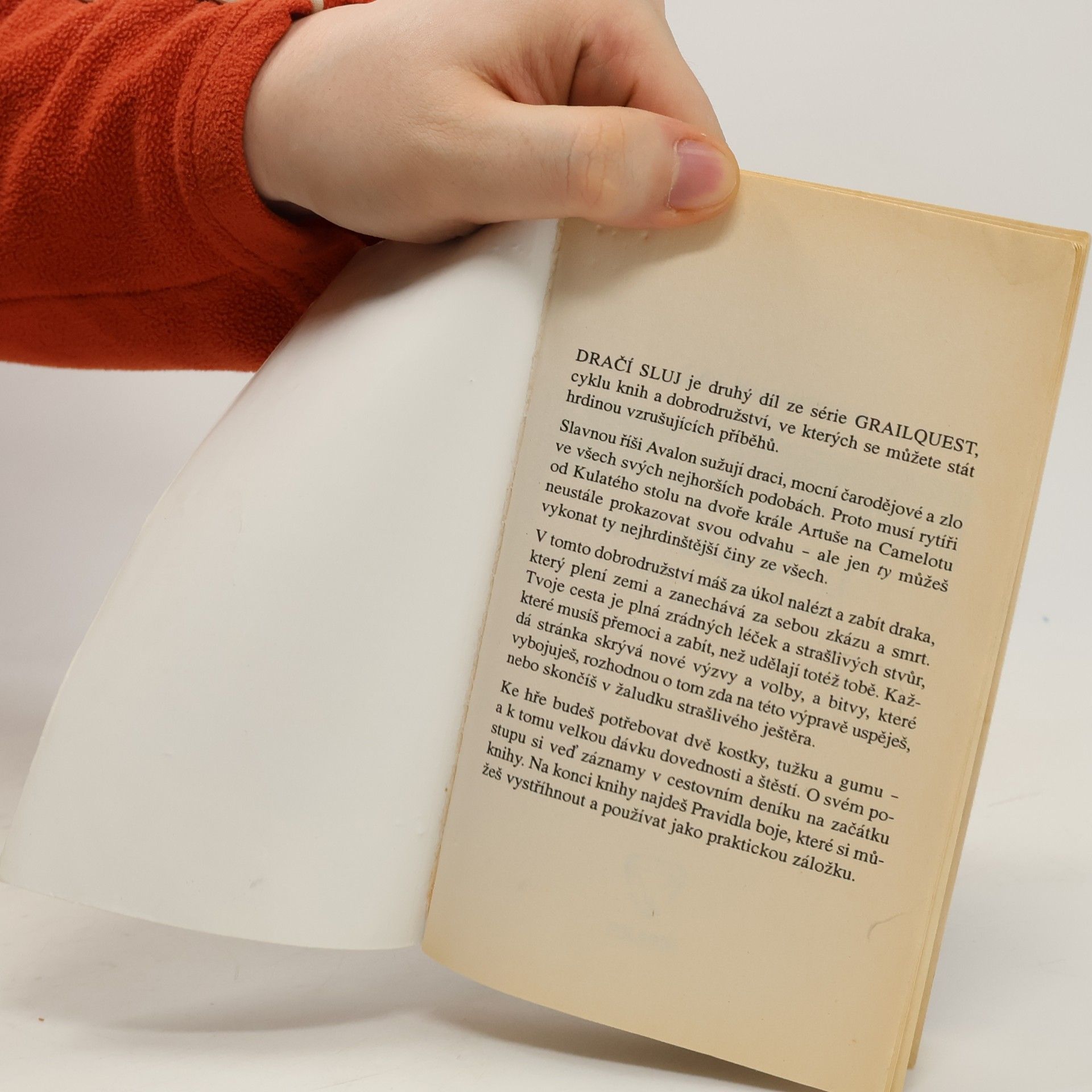 J H Brennan Grailquest. Dračí sluj