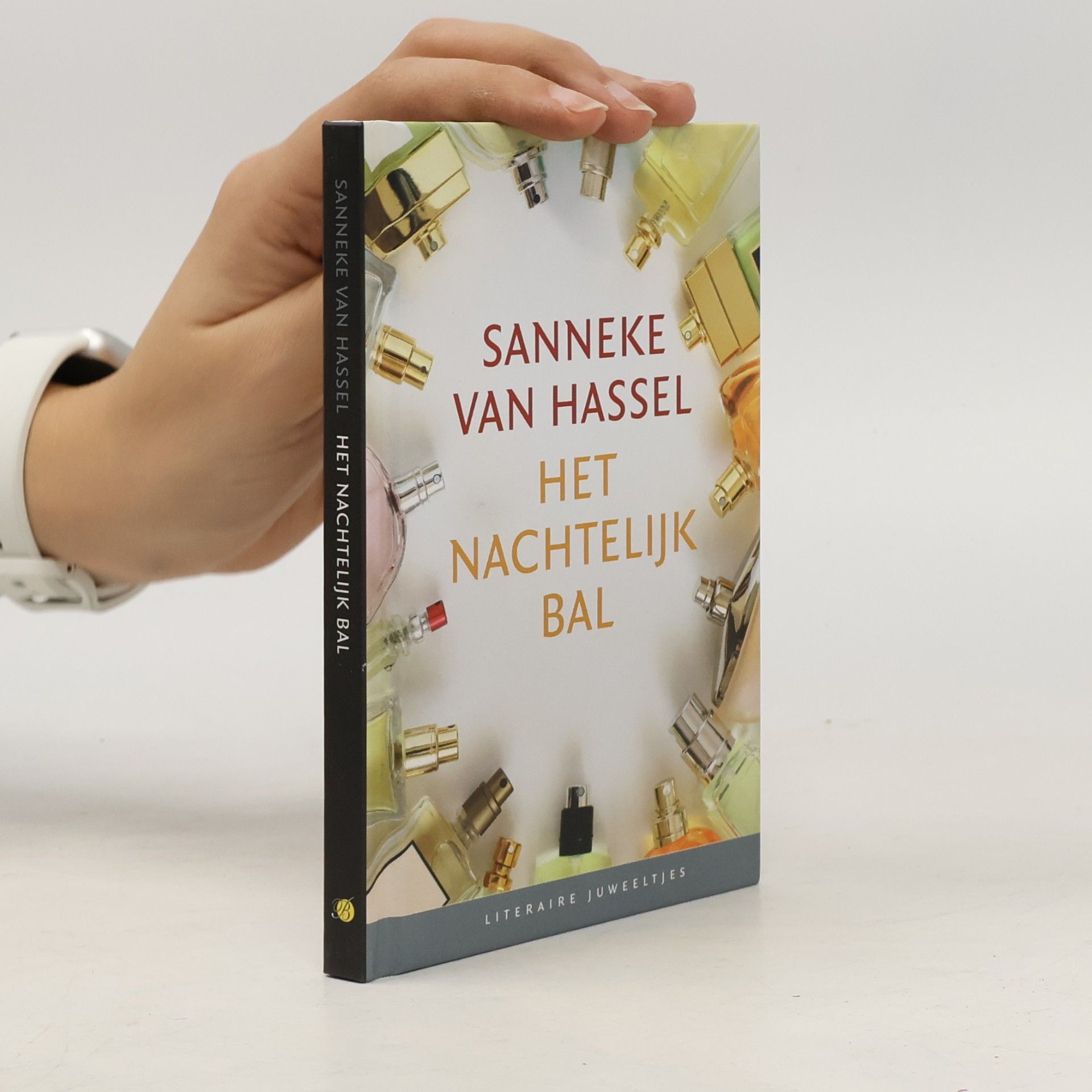 Sanneke Lidewij Hassel Het nachtelijk bal