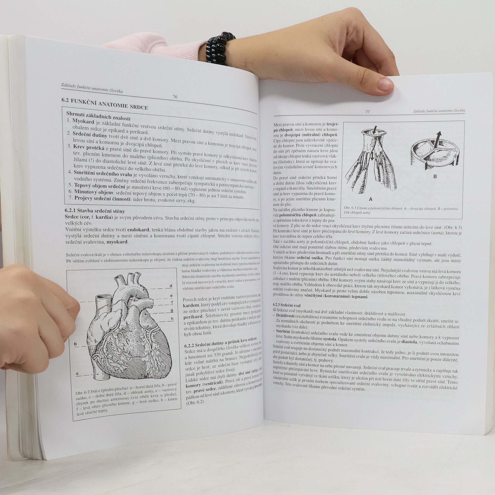 Ivan Dylevský Základy funkční anatomie člověka