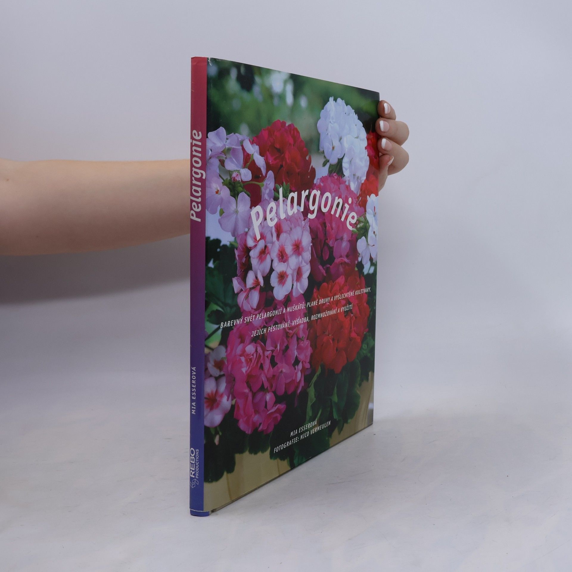 Pelargonie