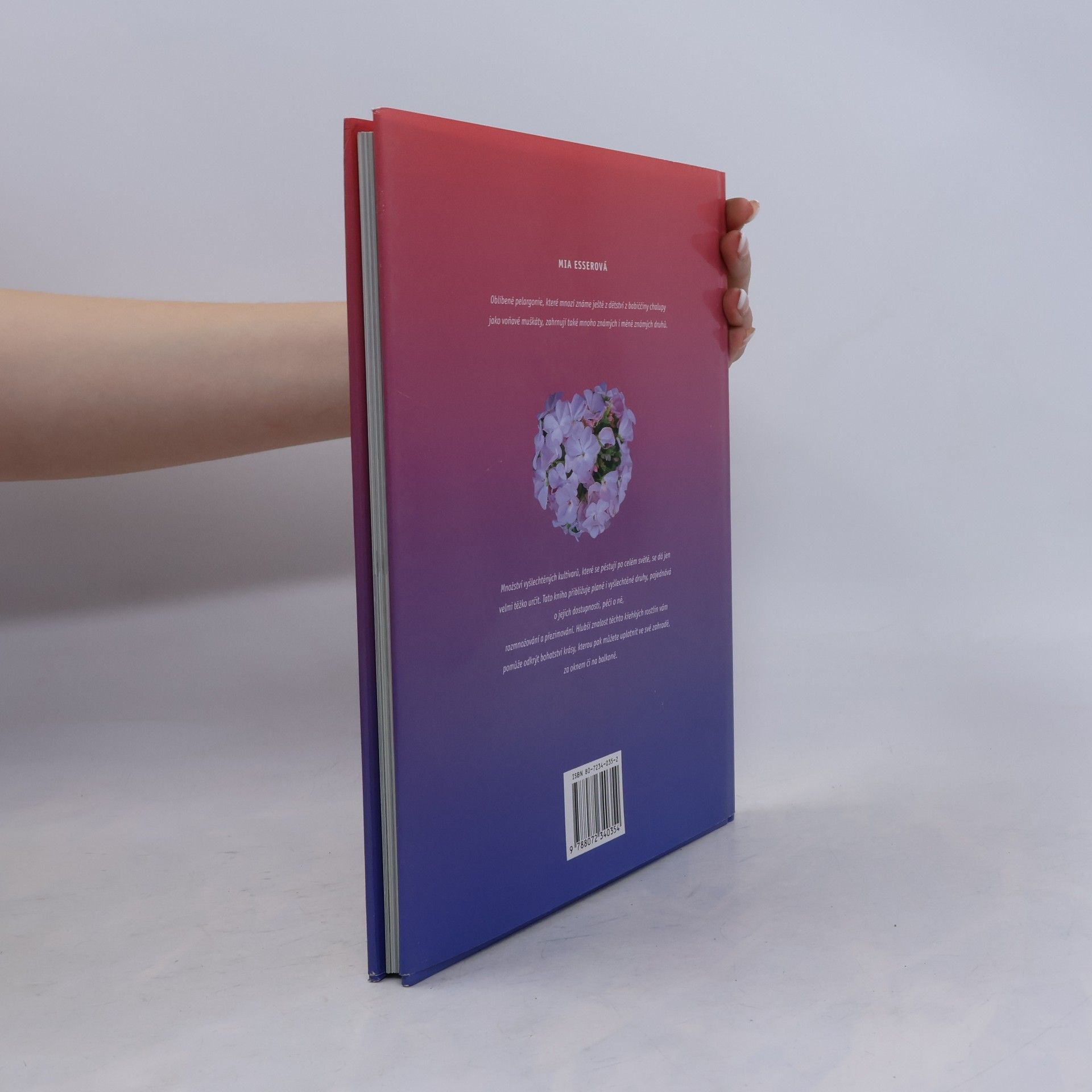 Mia Esser Pelargonie