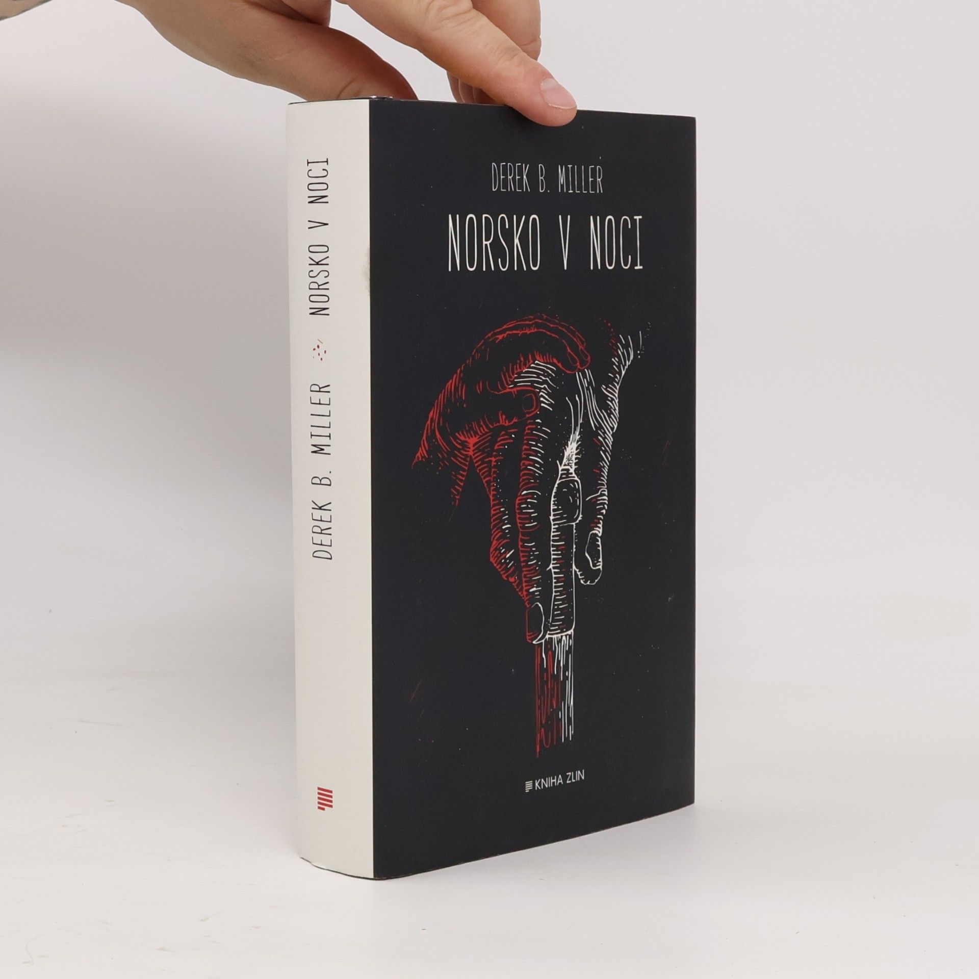 Derek B. Miller Norsko v noci