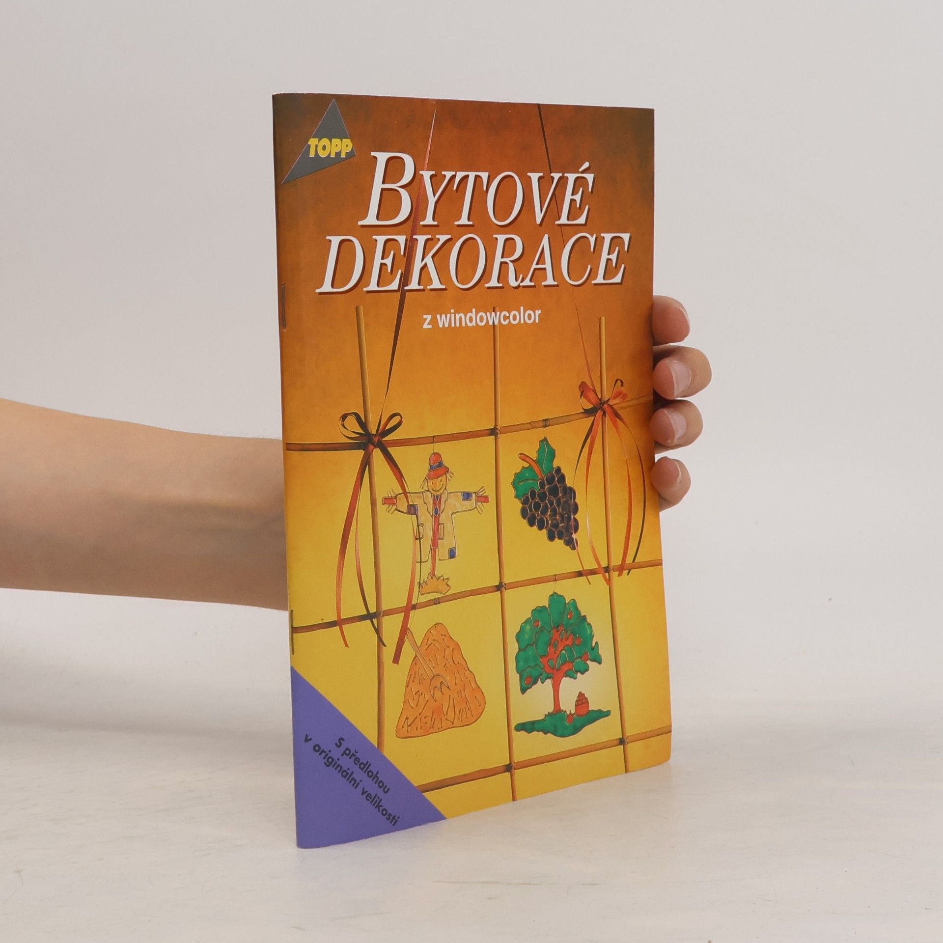 Autorenkollektiv Bytové dekorace z windowcolor