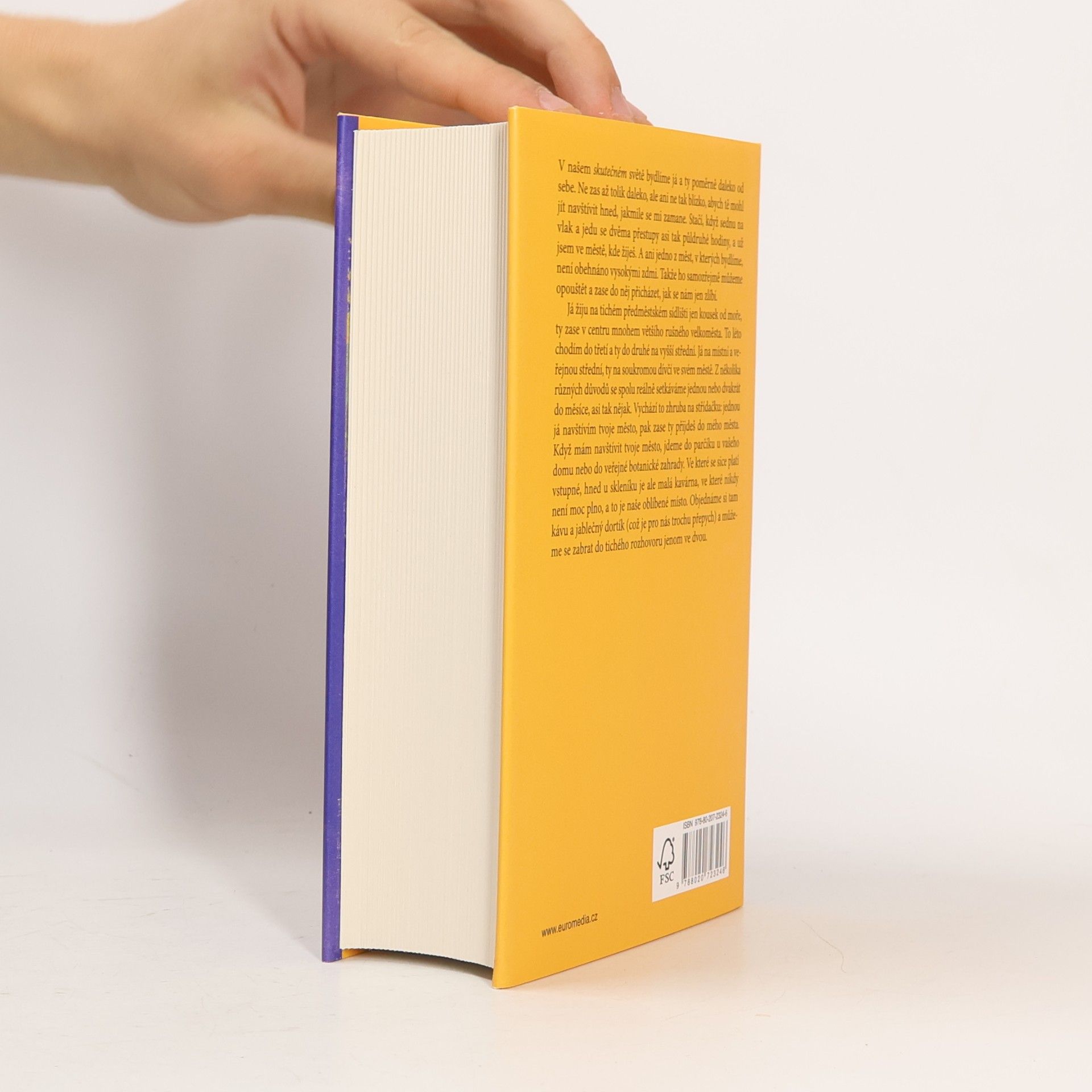 Haruki Murakami Město a jeho nejisté zdi